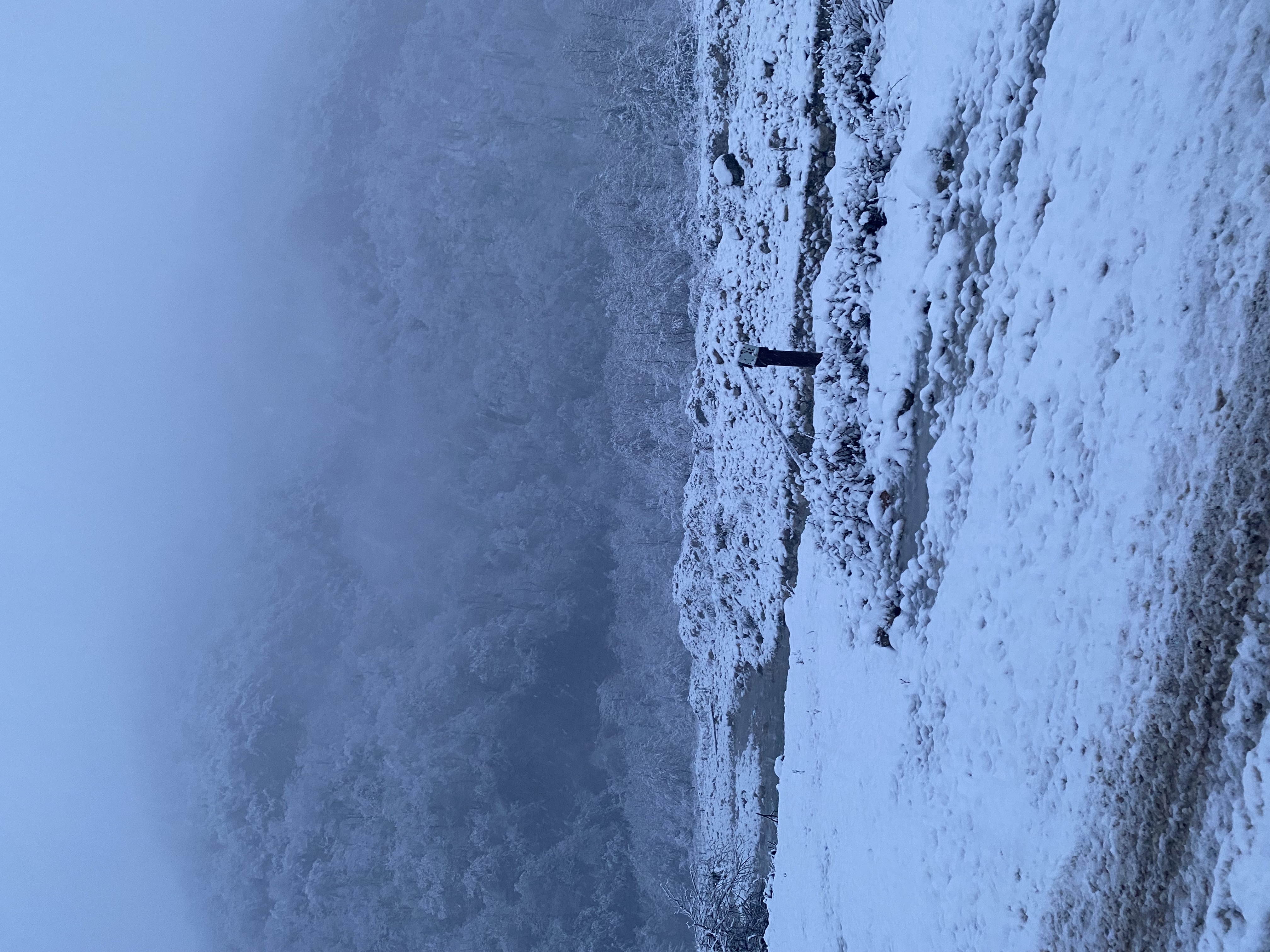 Фото ЭКО-Глэмпинг БУНГАЛО 10