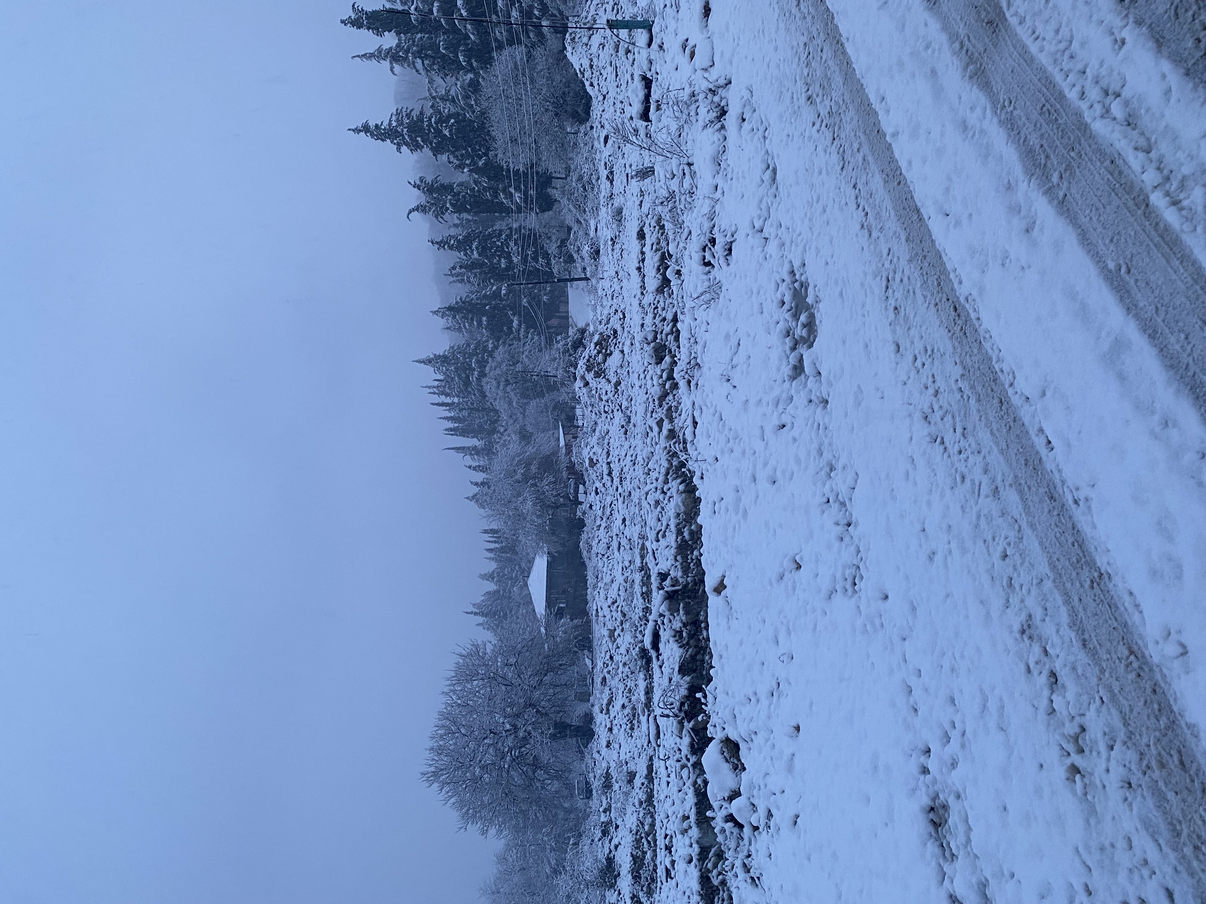 Фото ЭКО-Глэмпинг БУНГАЛО 9