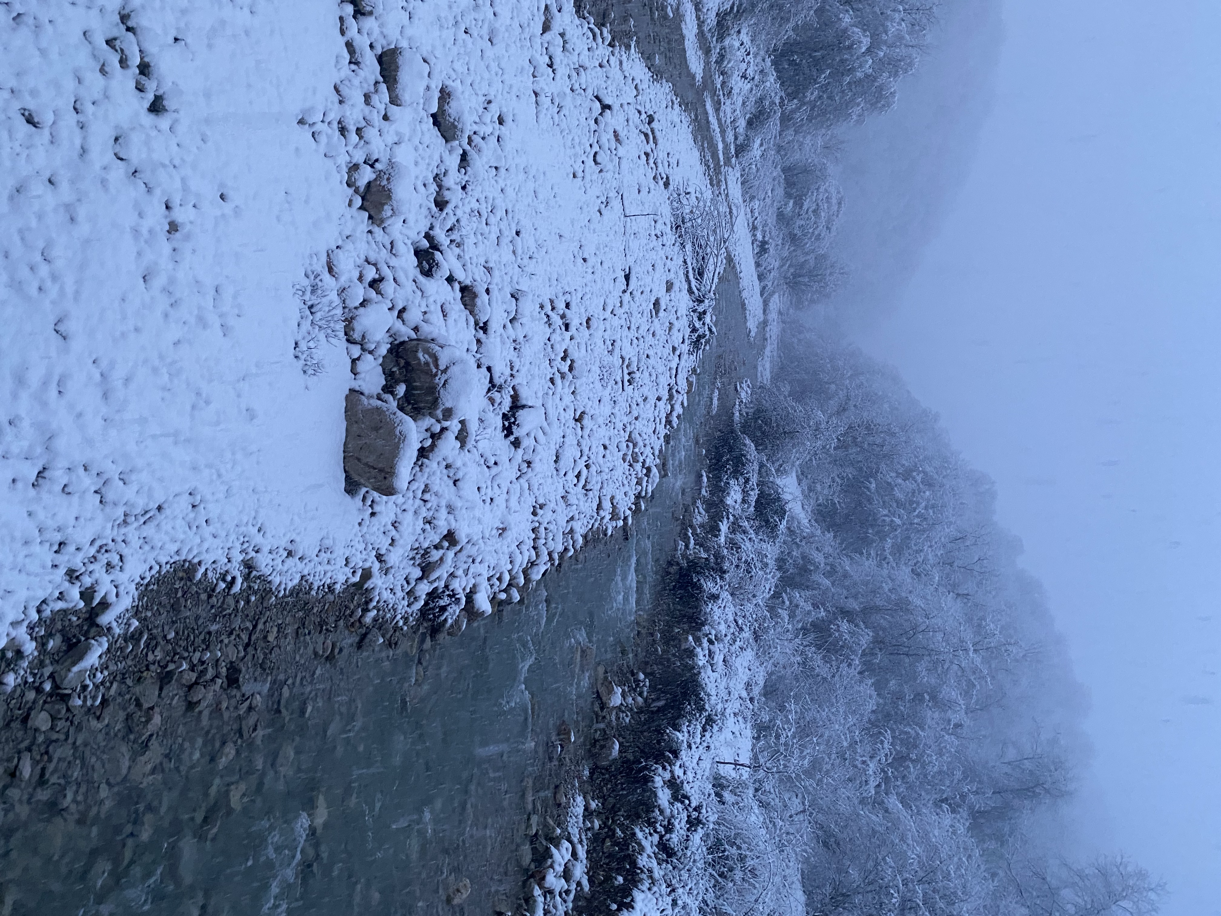 Фото ЭКО-Глэмпинг БУНГАЛО 11