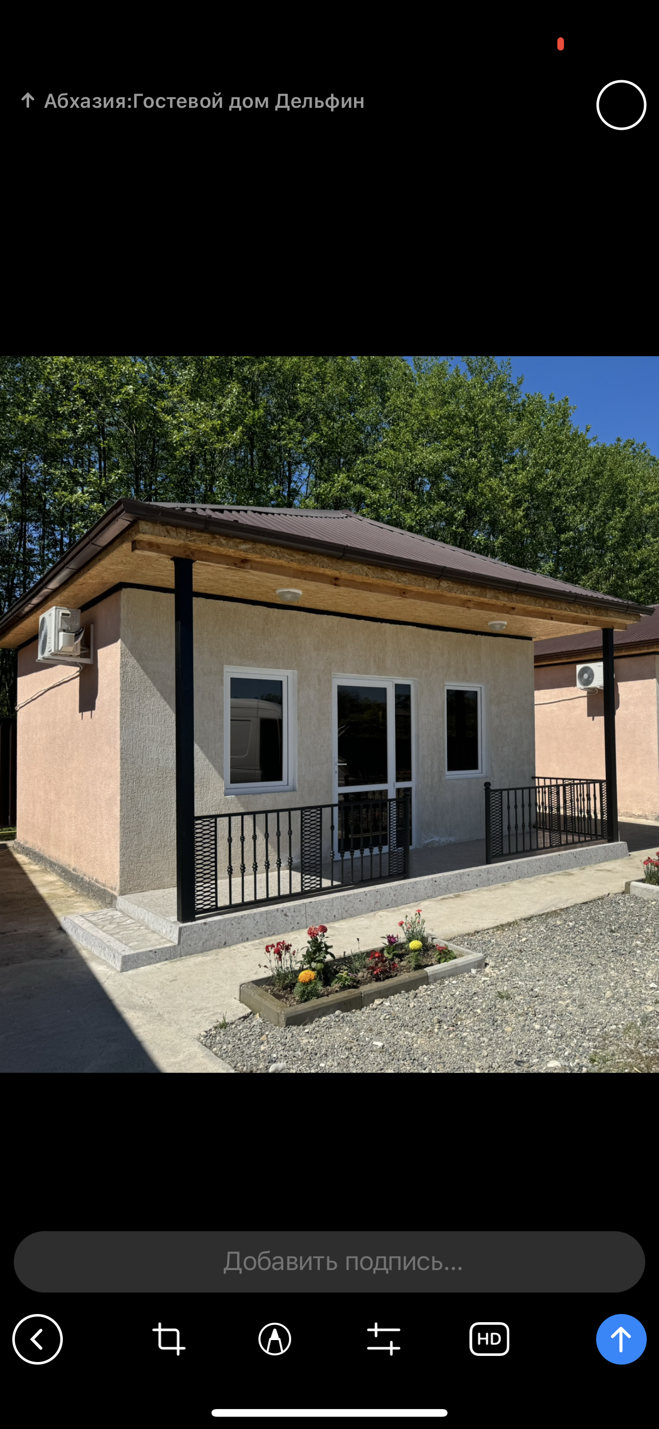 Гостевой дом Дельфин фото 3