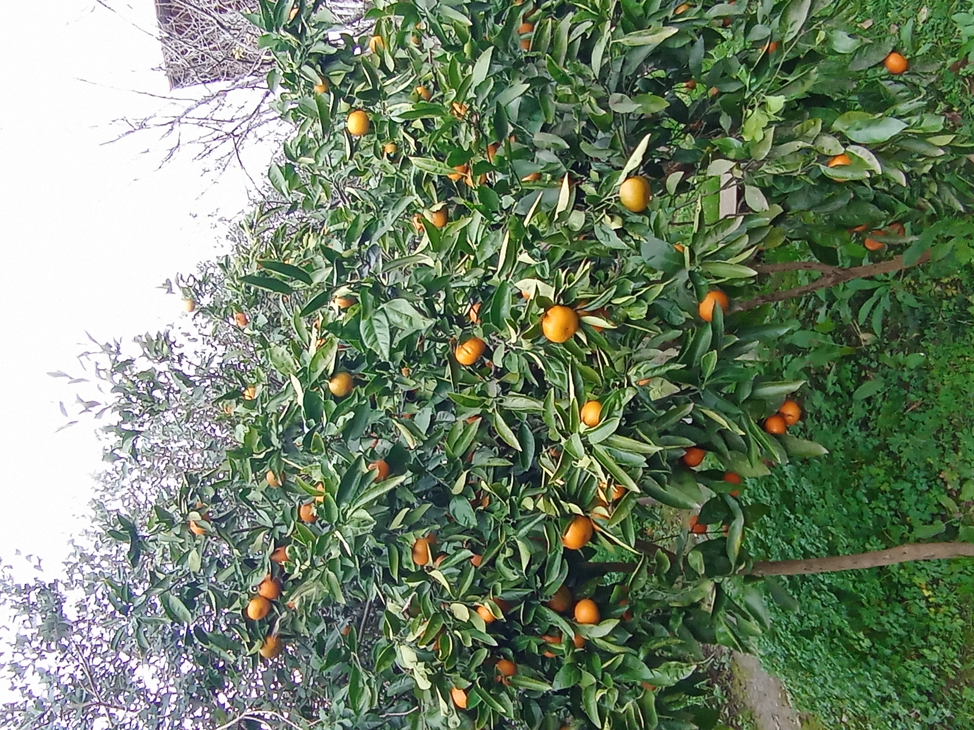 Фото Гостевой дом " Надежда" 8