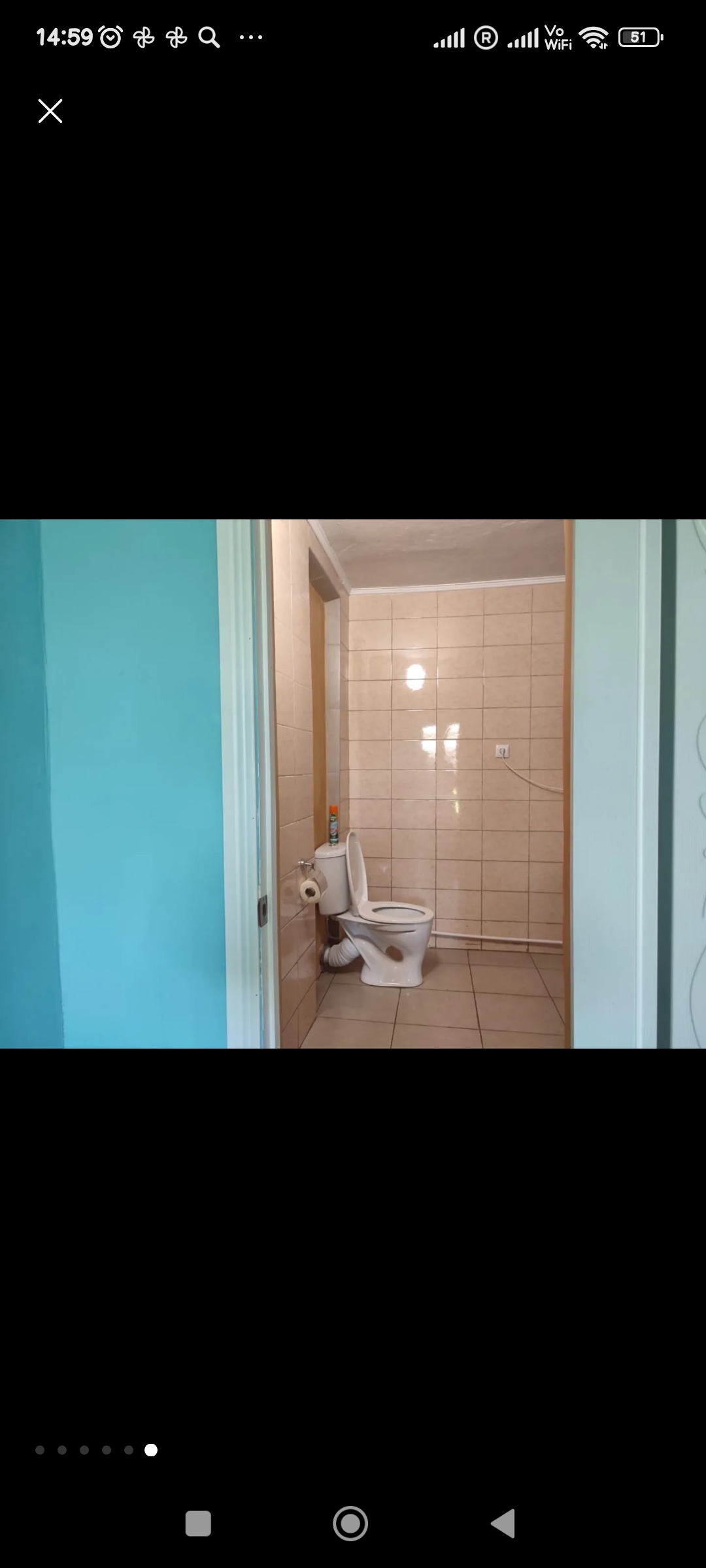 Фото Базилик 5