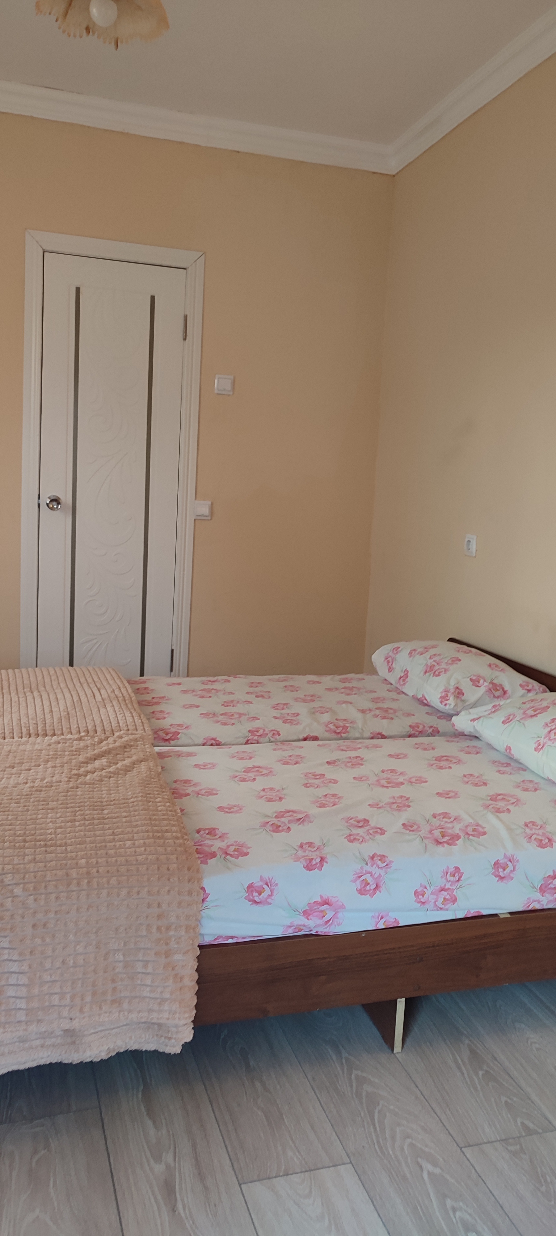 Фото Базилик 10