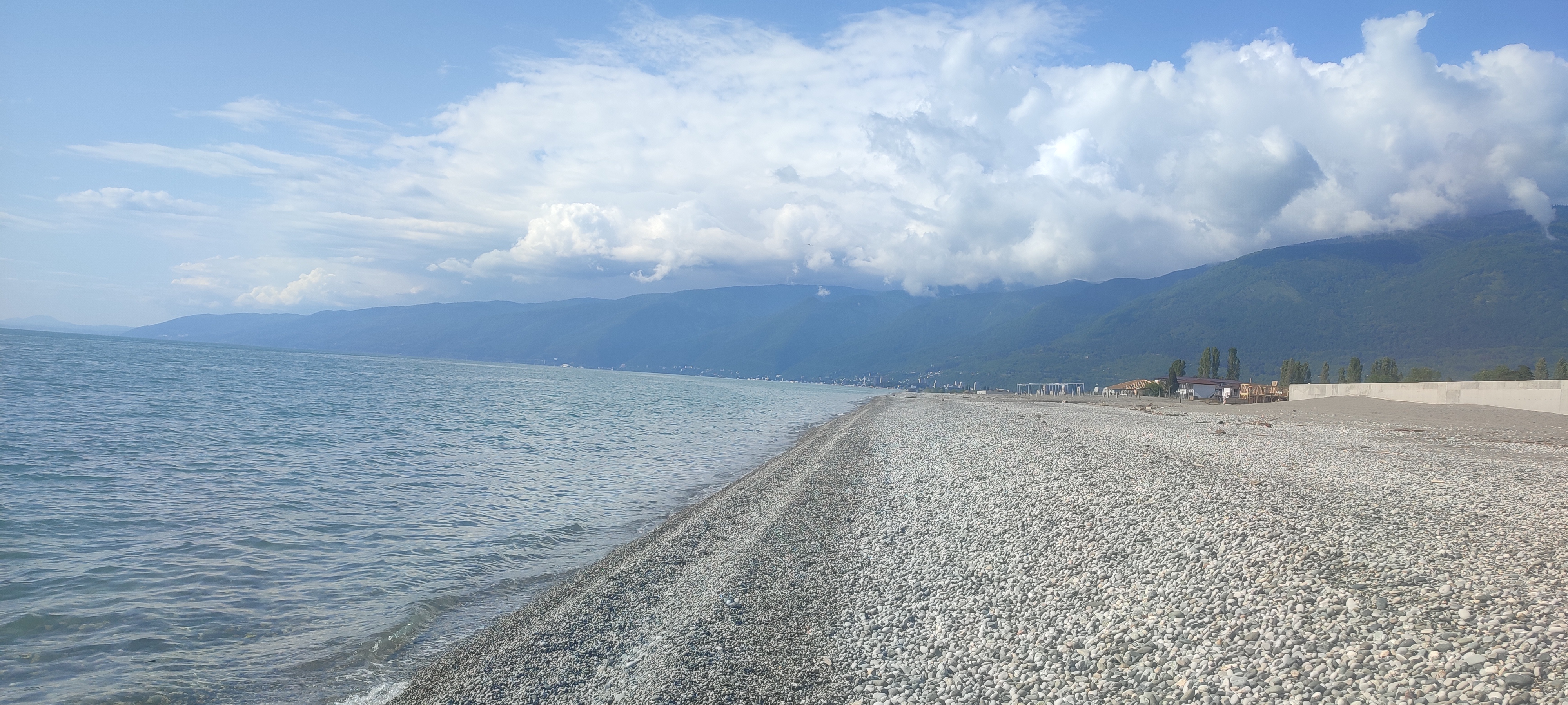 Фото Базилик 22