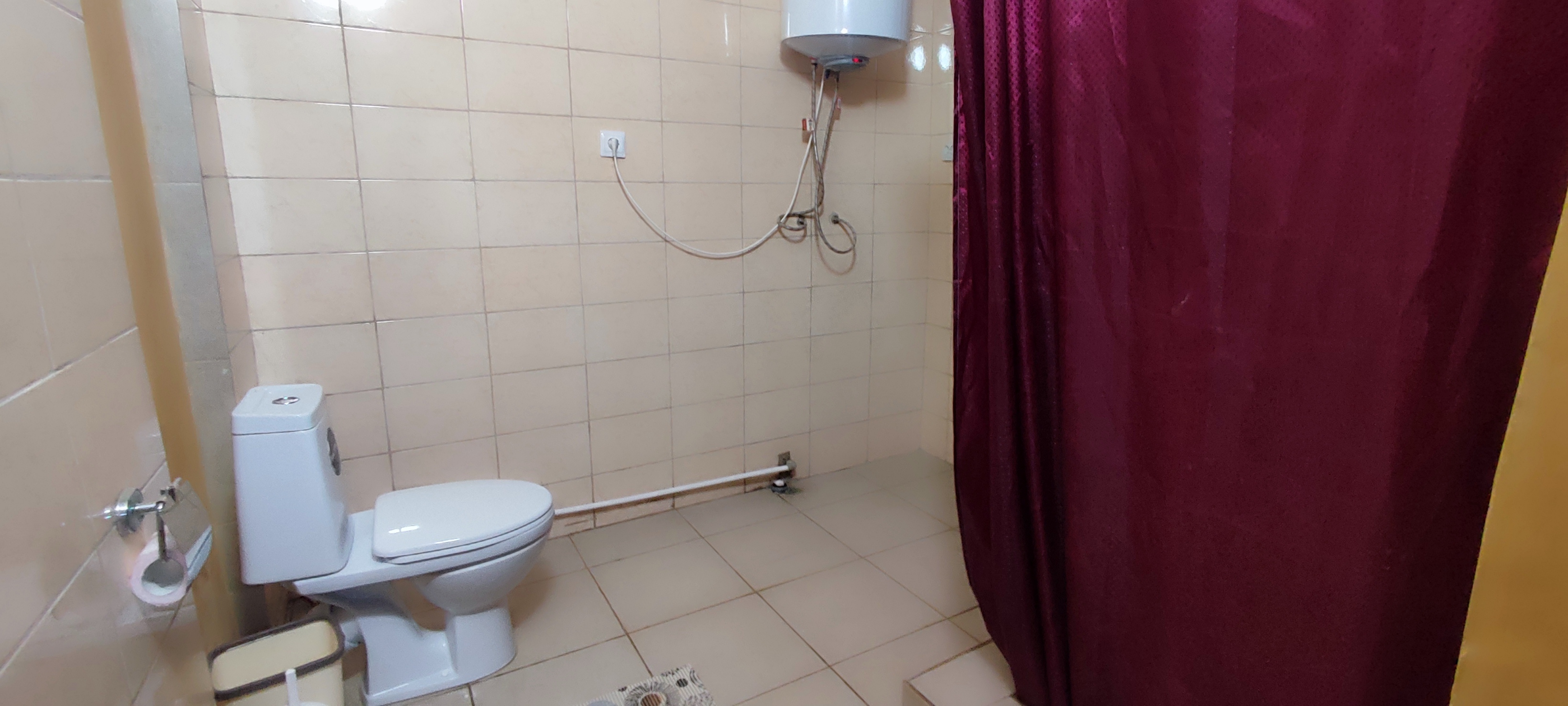 Фото Базилик 14