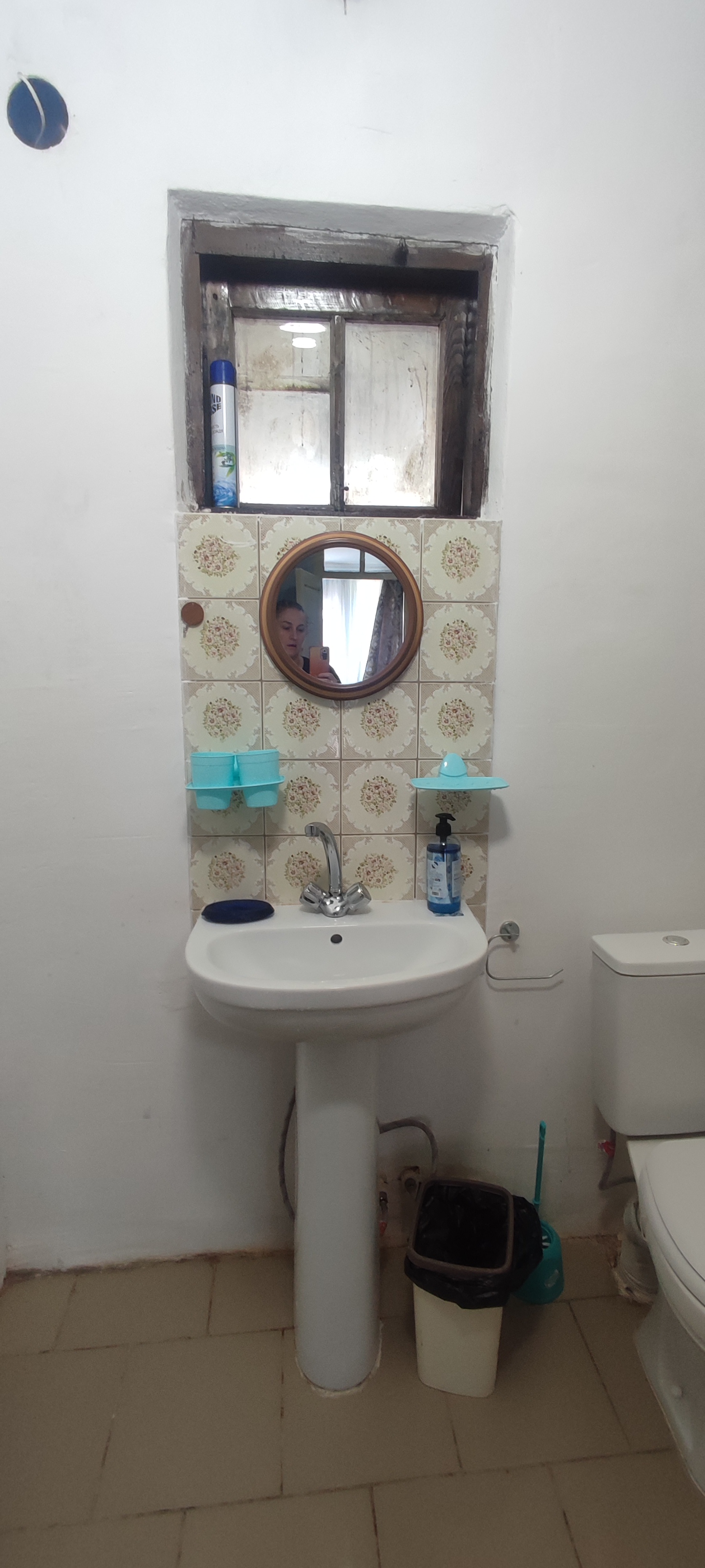 Фото Базилик 7