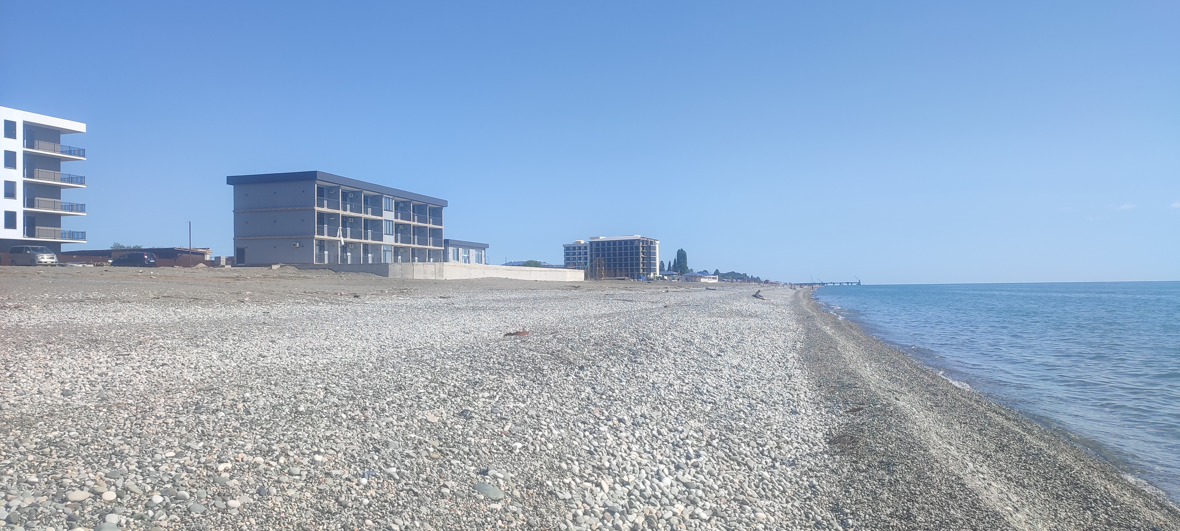 Фото Базилик 23