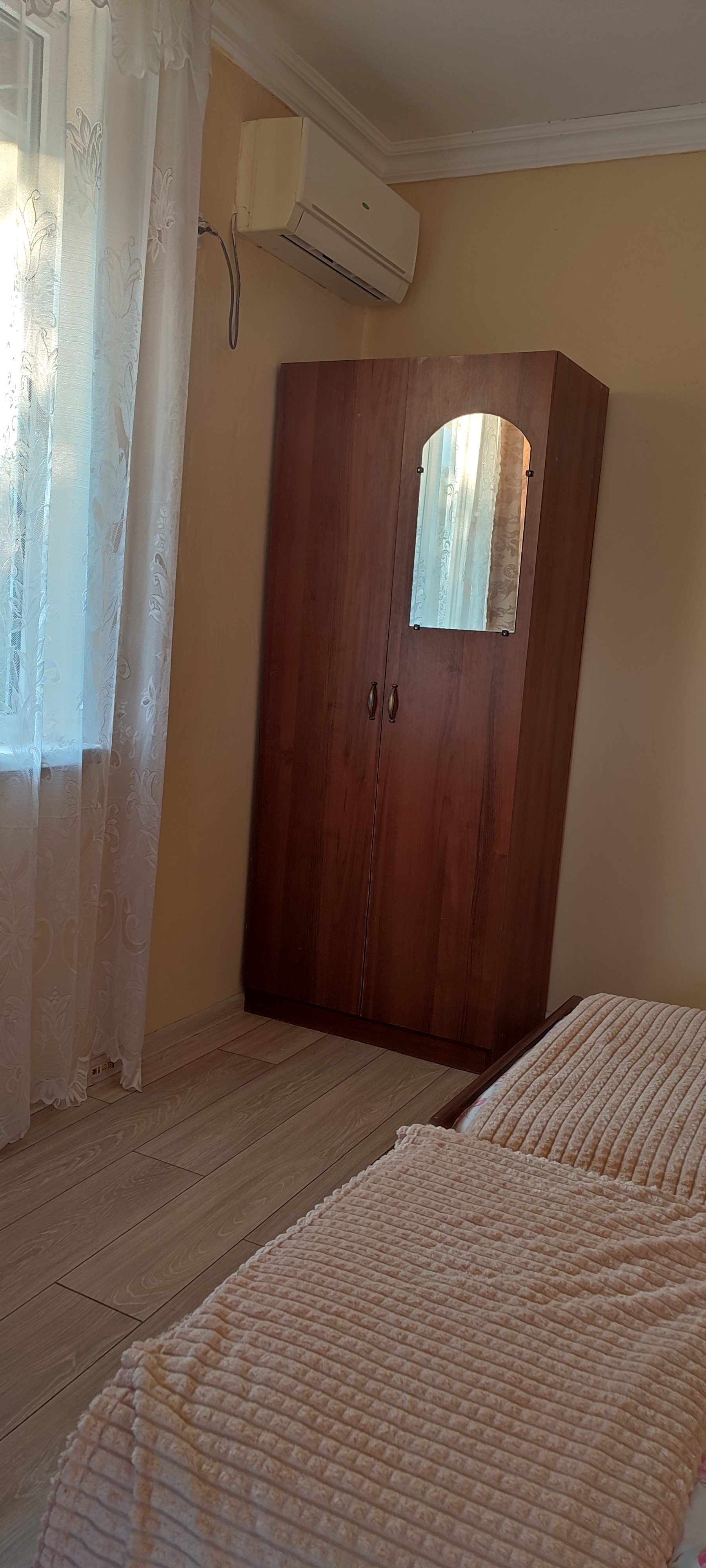 Фото Базилик 11