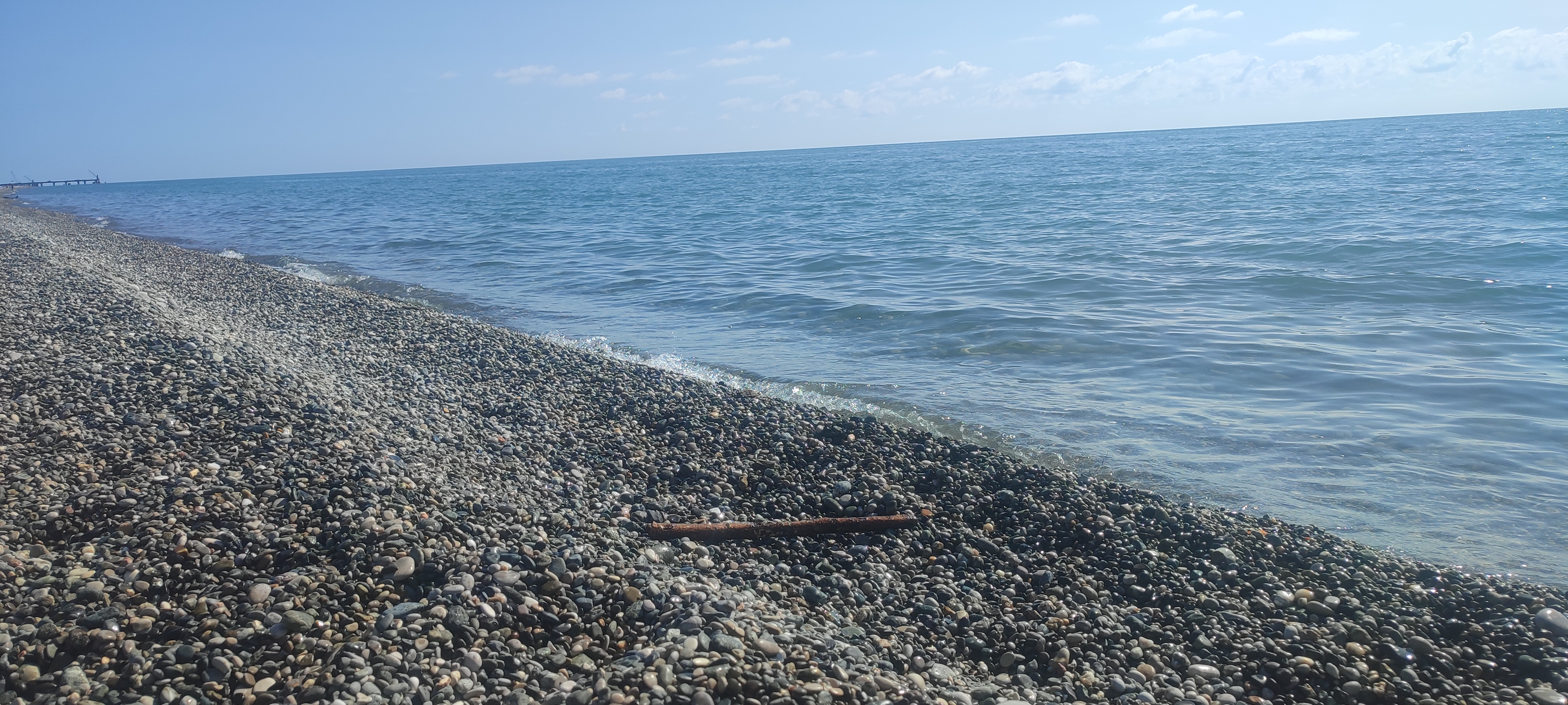 Фото Базилик 24