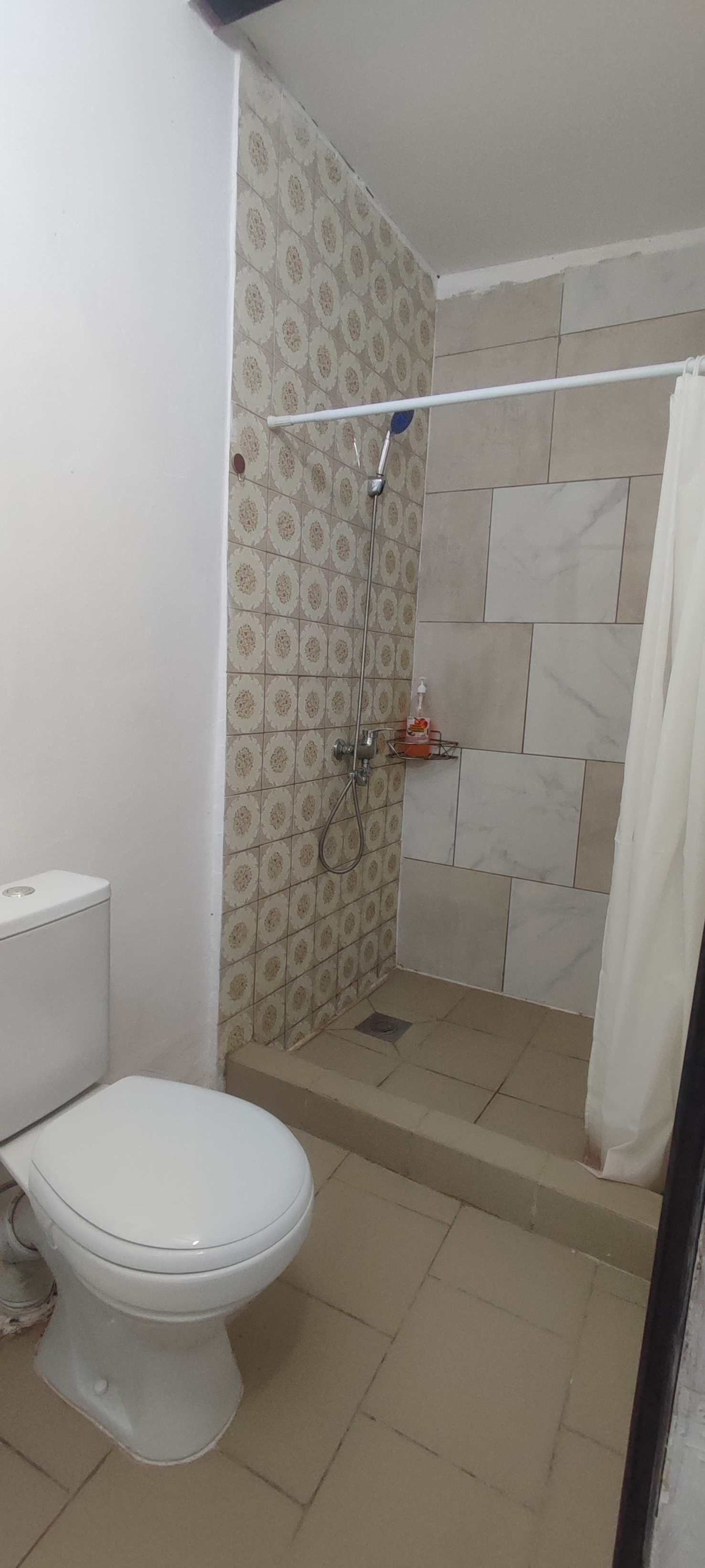 Фото Базилик 15