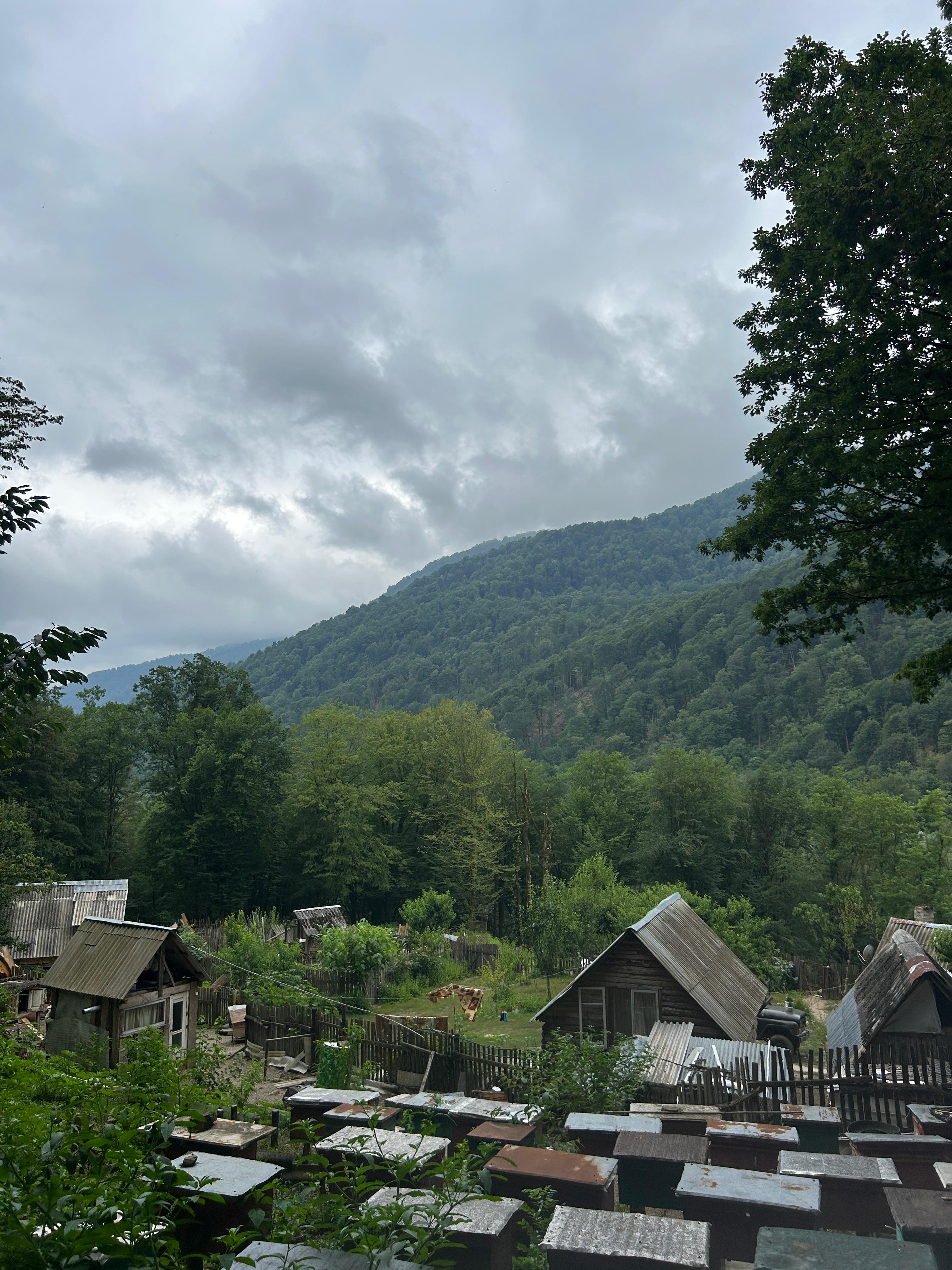 Папа Адзыбжара