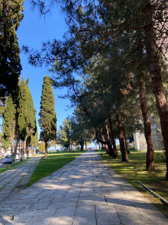 Квартира в центре города