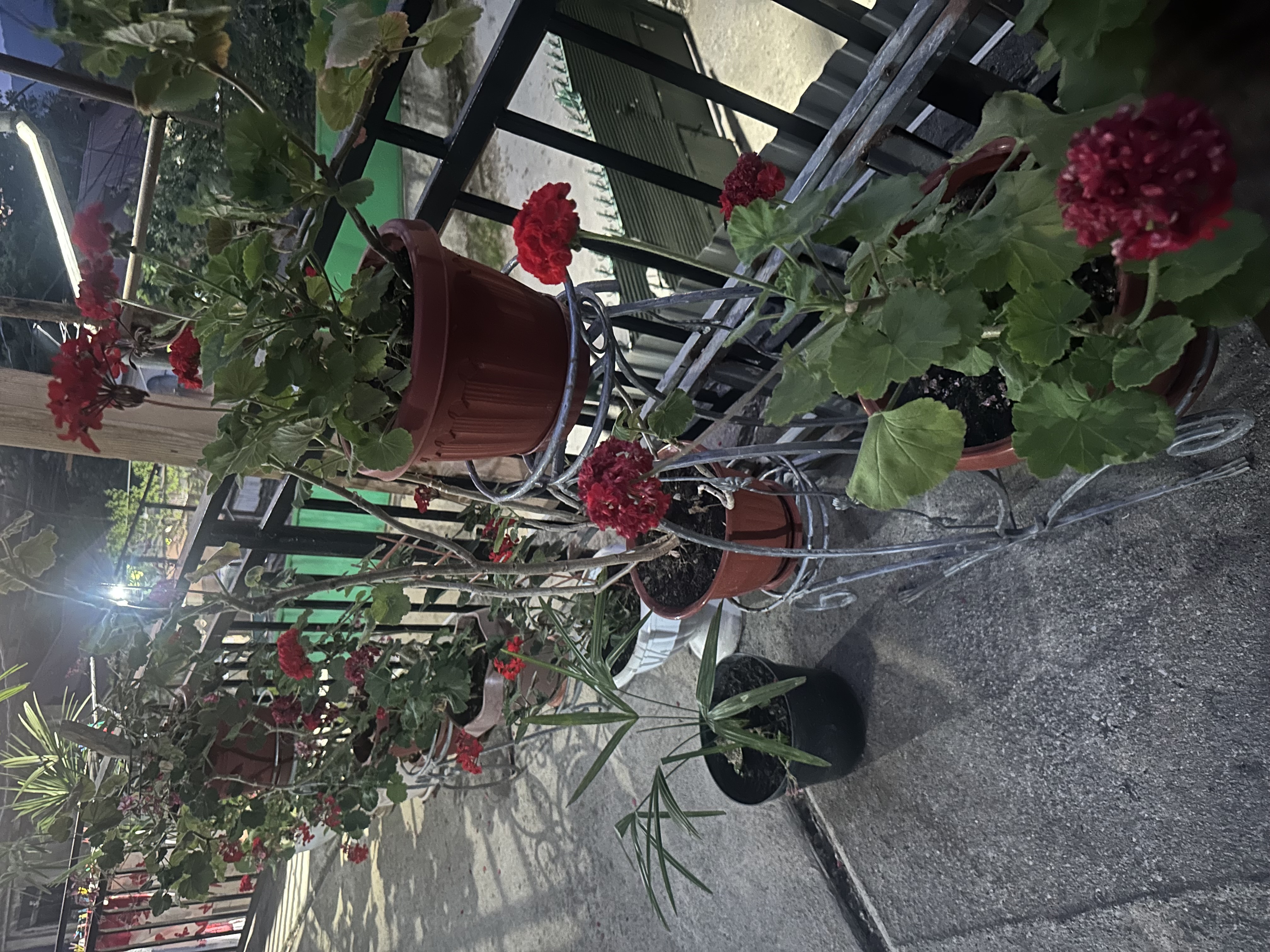 Комфорт - Photo 13