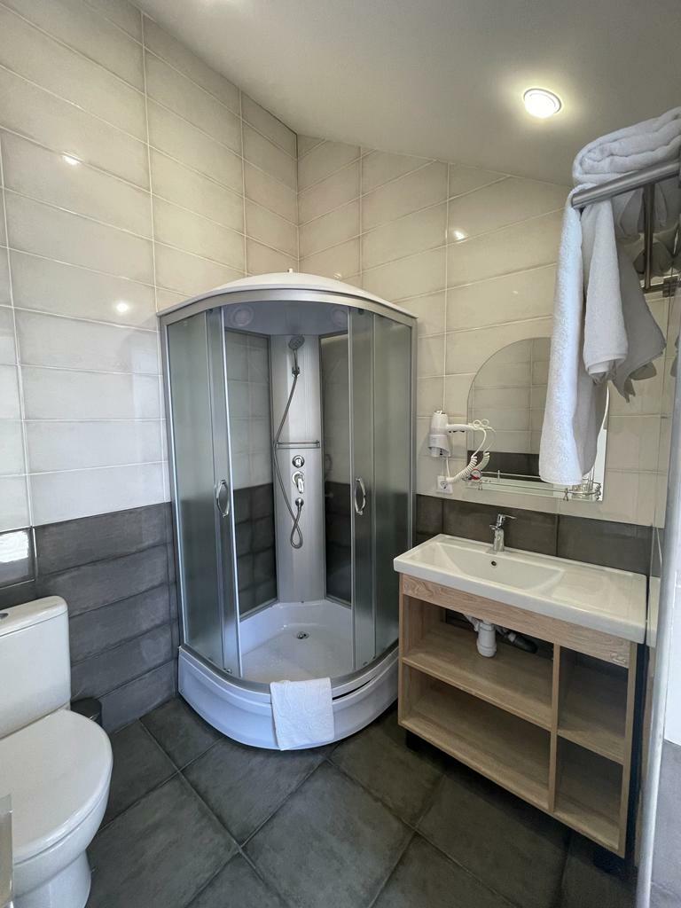 Улучшенный номер с 1 кроватью или 2 отдельными кроватями и диваном (мансарда)