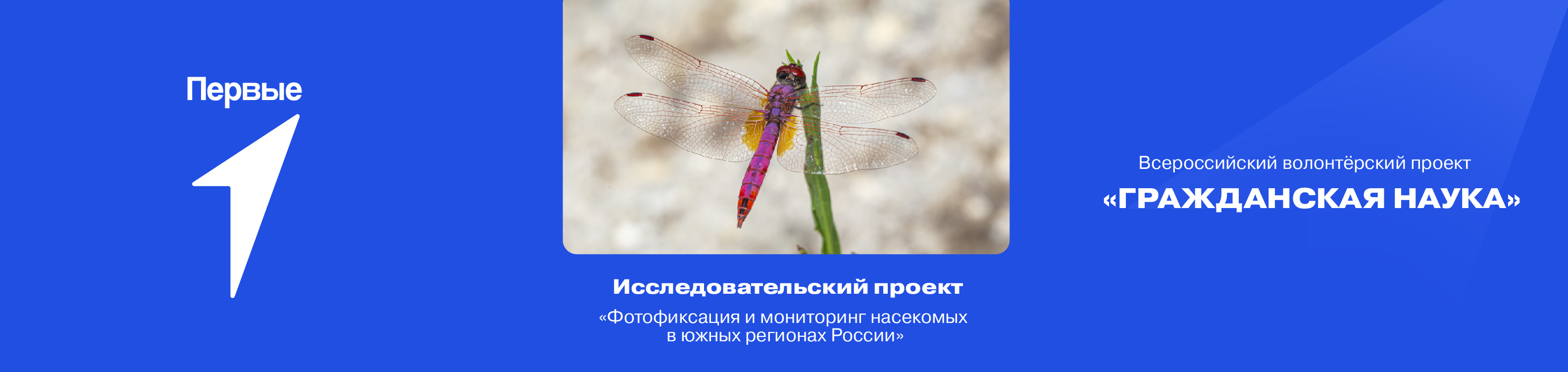 «Фотофиксация и мониторинг насекомых в южных регионах России»