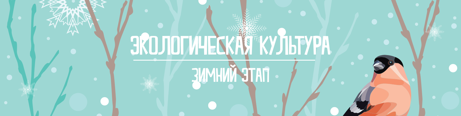 Зимний этап всероссийского конкурса «Экологическая культура»