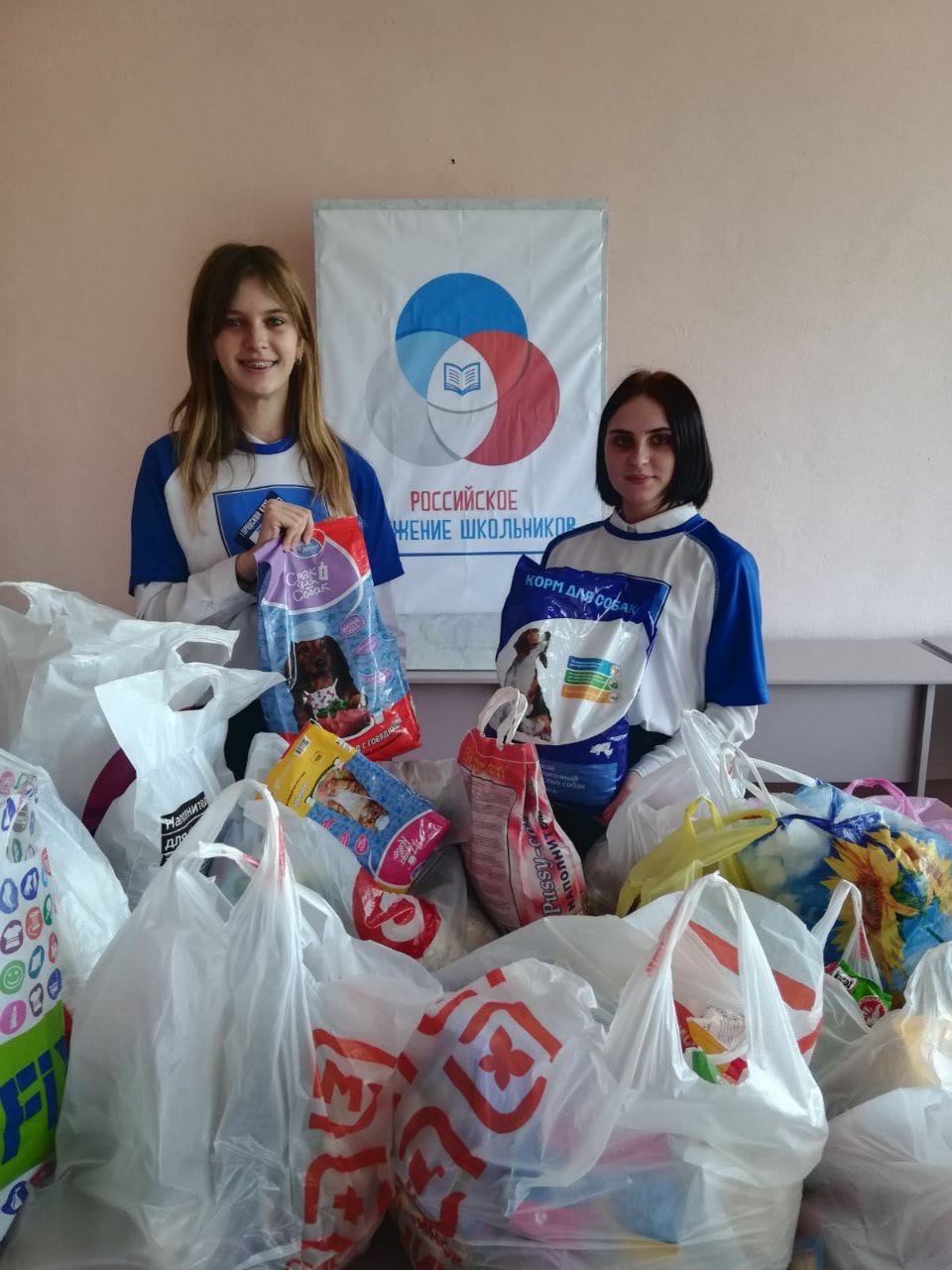 120 школ РДШ в Саратовской области приняли участие в региональной акции "Лапа помощи"