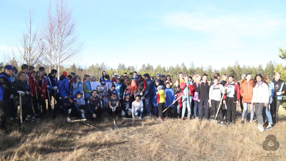 Ноябрьские школьники высадили 600 саженцев сибирской пихты