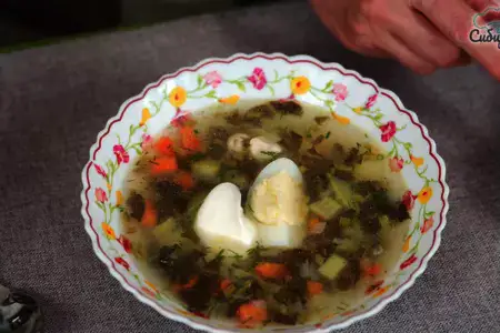 Щавелевый суп с курицей и овощами