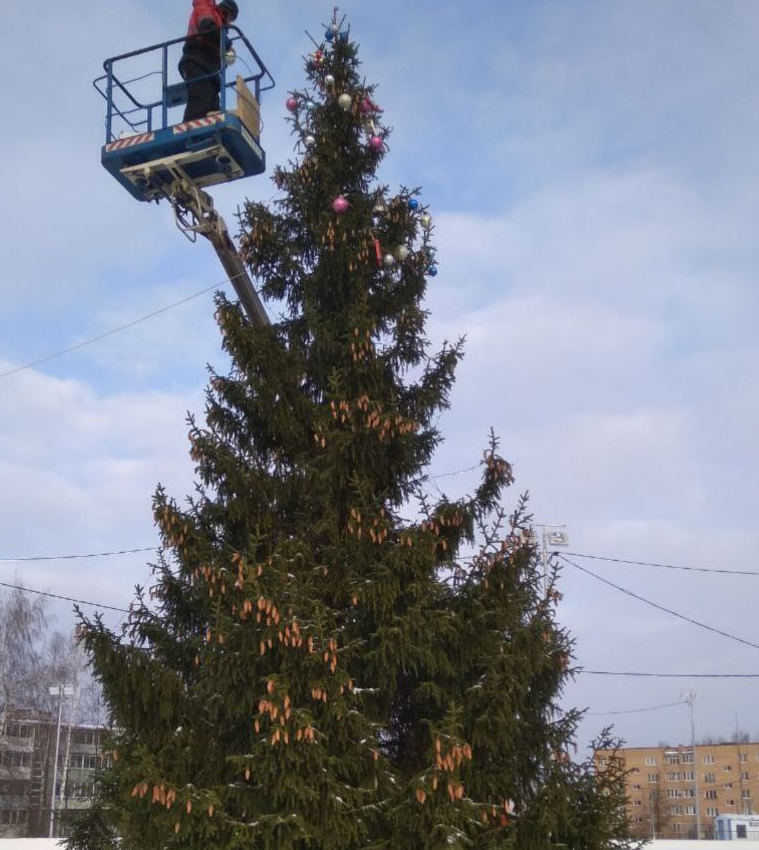 Елку с настоящими шишками установили в поселке Кировский