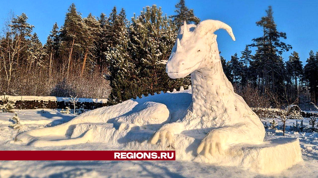 Гигантского дракона из снега и льда обнаружили в парке жители Ногинска