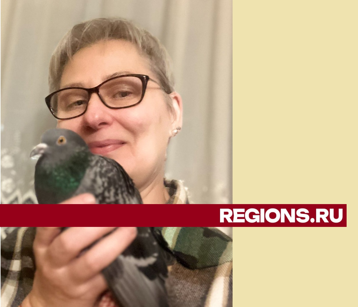 Жительница Краснознаменска спасла голубя от смерти