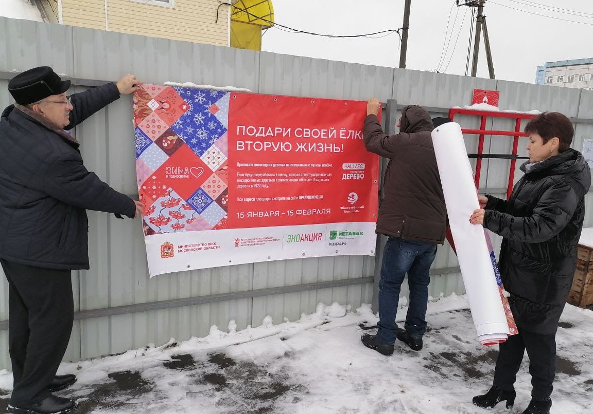 Новогодние елки начнут принимать на переработку в Волоколамске