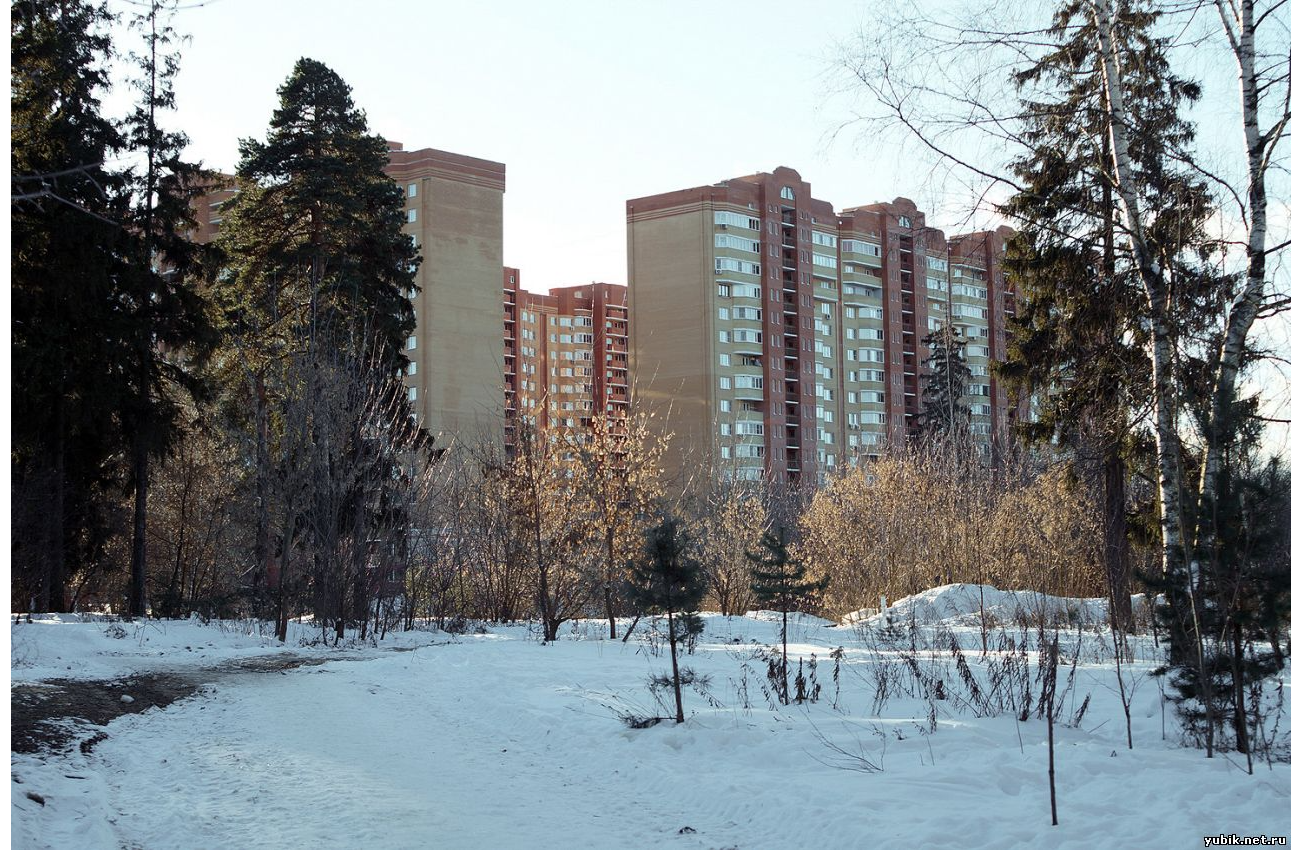 Королев зима. Комитетский лес Королев. Комитетский лес Юбилейный.