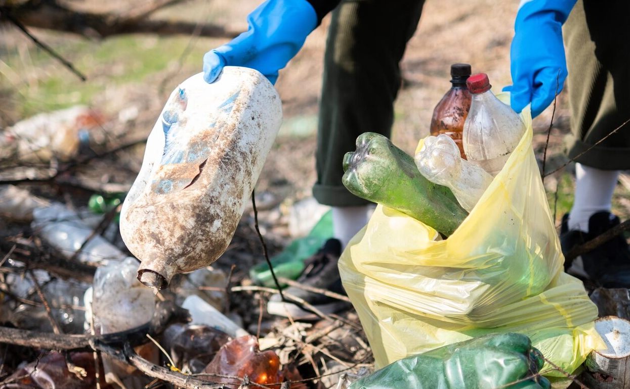 В Красногорске убрали более пятидесяти навалов мусора в лесах