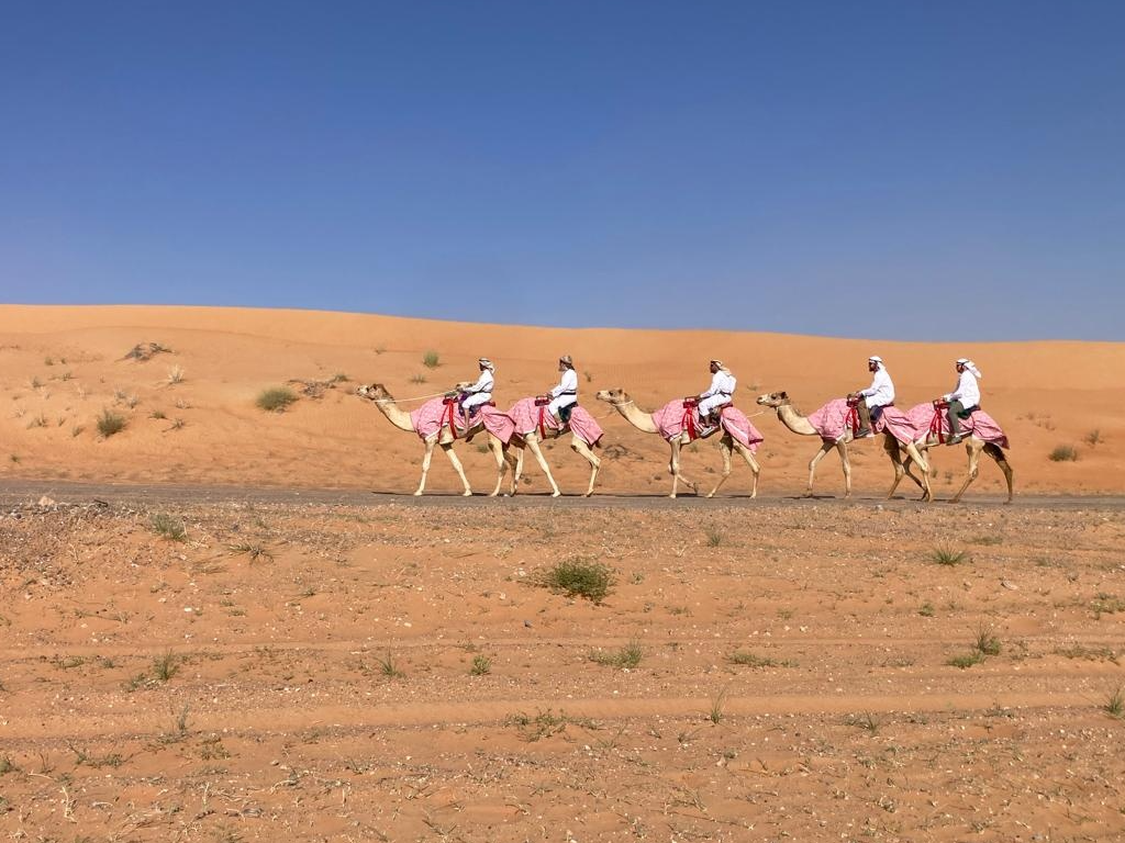 развитие плода по неделям в картинках. начало текущей недели. рацион на вторник таблица. цели на неделю список. воскресенье или воскресение как правильно день недели пишется.