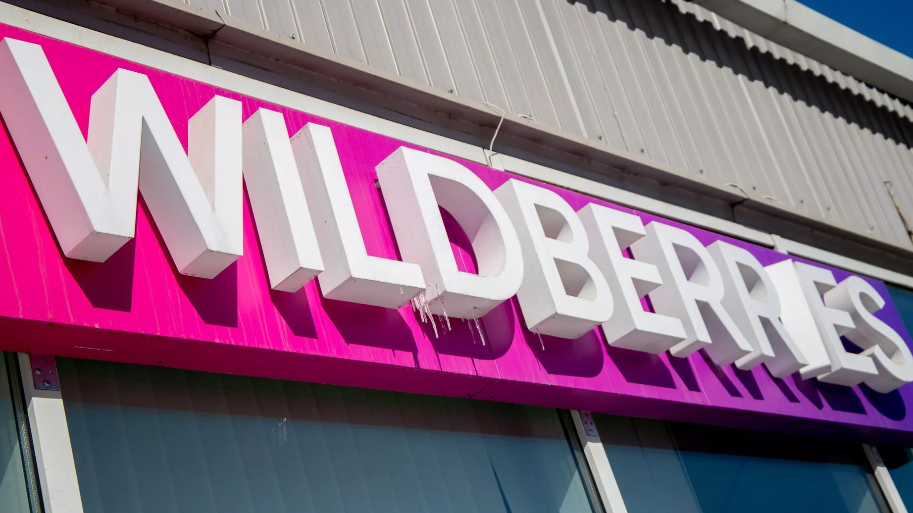 «Ъ»: Wildberries нашел несколько способов заменить сгоревший в Шушарах логопарк
