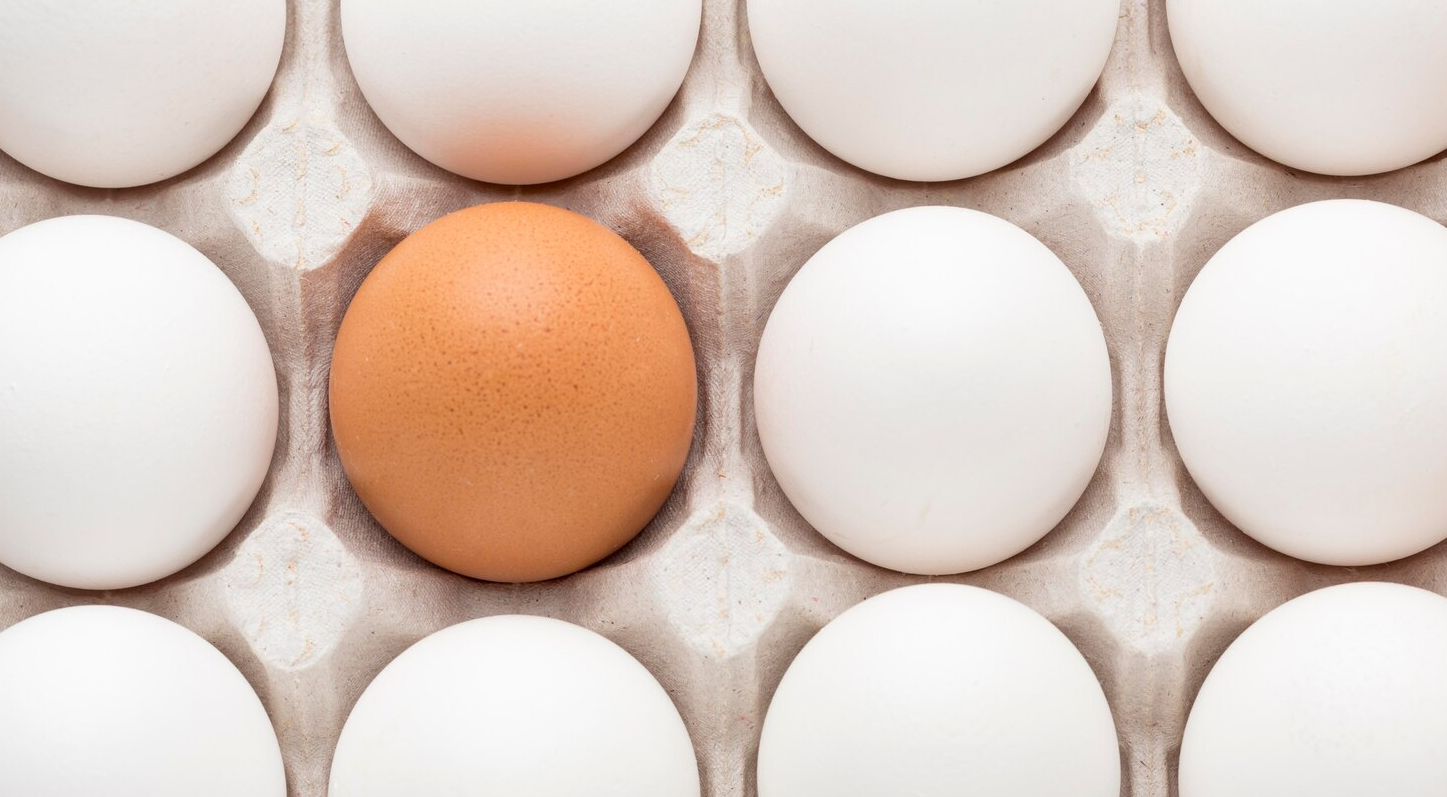 На завтрак вновь омлет или яичница: цены на яйца в торговых сетях пошли вниз