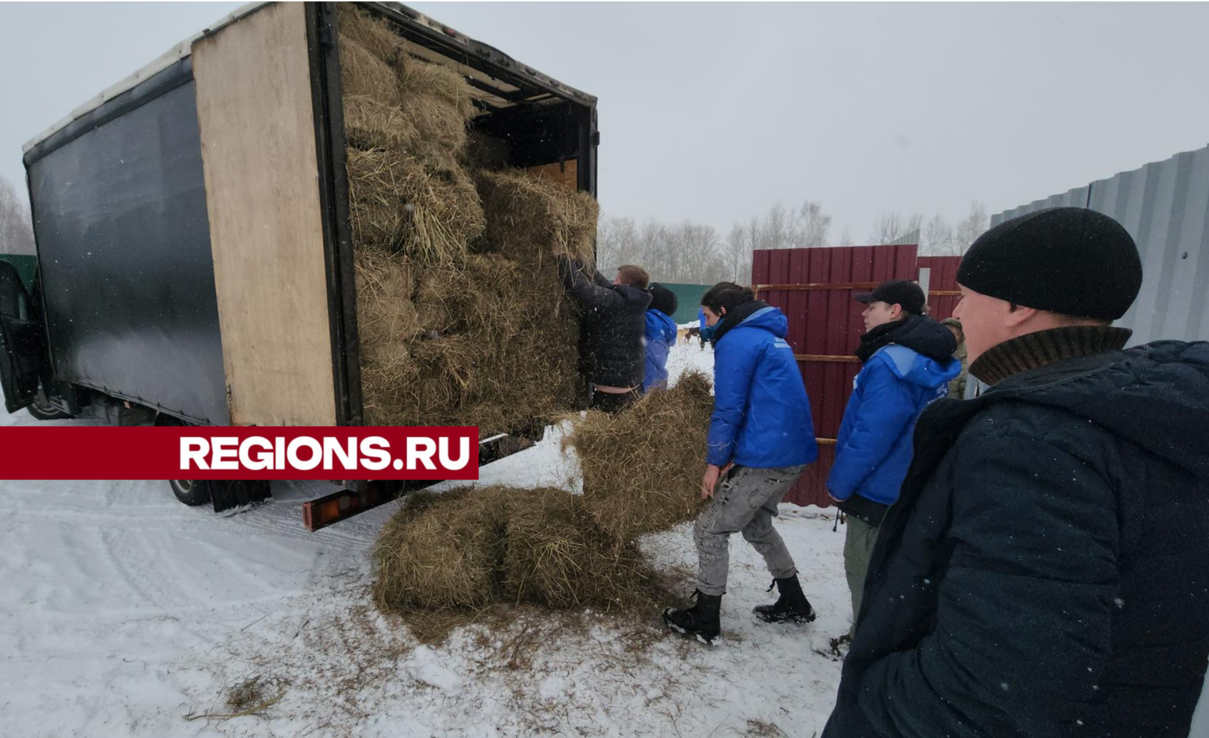 Молодогвардейцы Серпухова помогли приюту для домашних животных «Зоозащита»