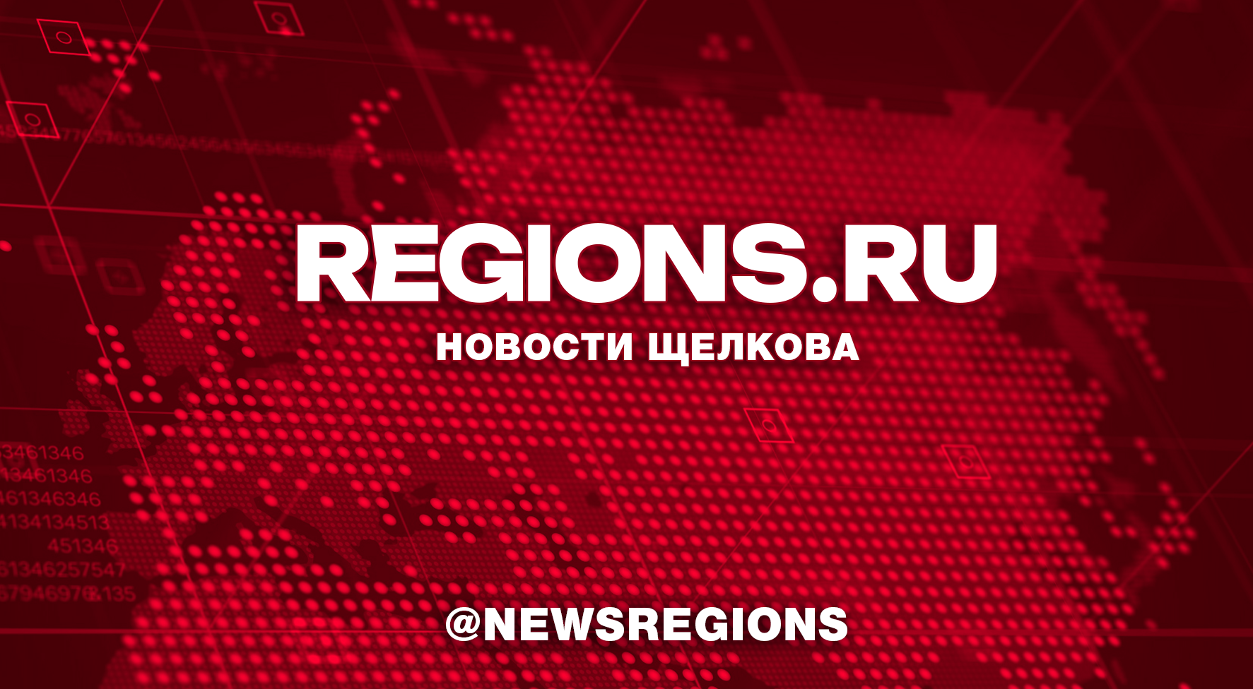 Щелковские спортсмены завоевали 39 наград на Зимнем фестивале восточных боевых единоборств