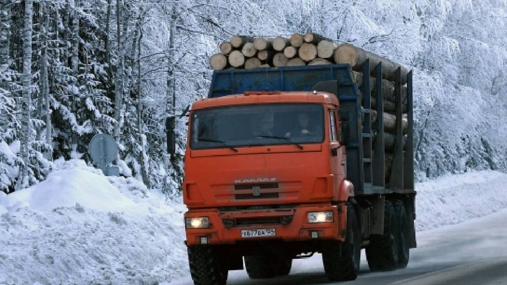 Росолесинфорг: весной в двух регионах РФ за лесовозами будут наблюдать из космоса