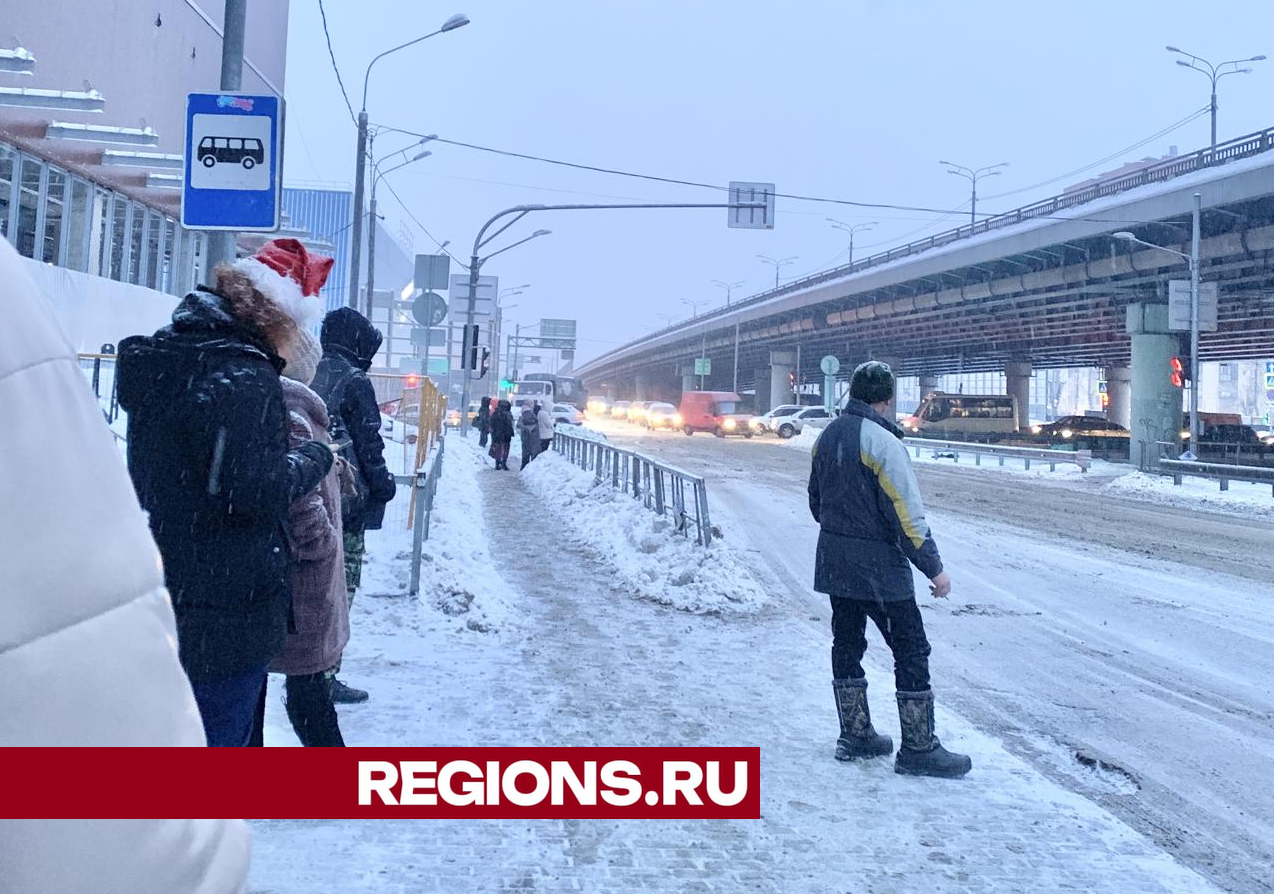 Выделенка на Горьковском шоссе сократила время движения автобусов вдвое