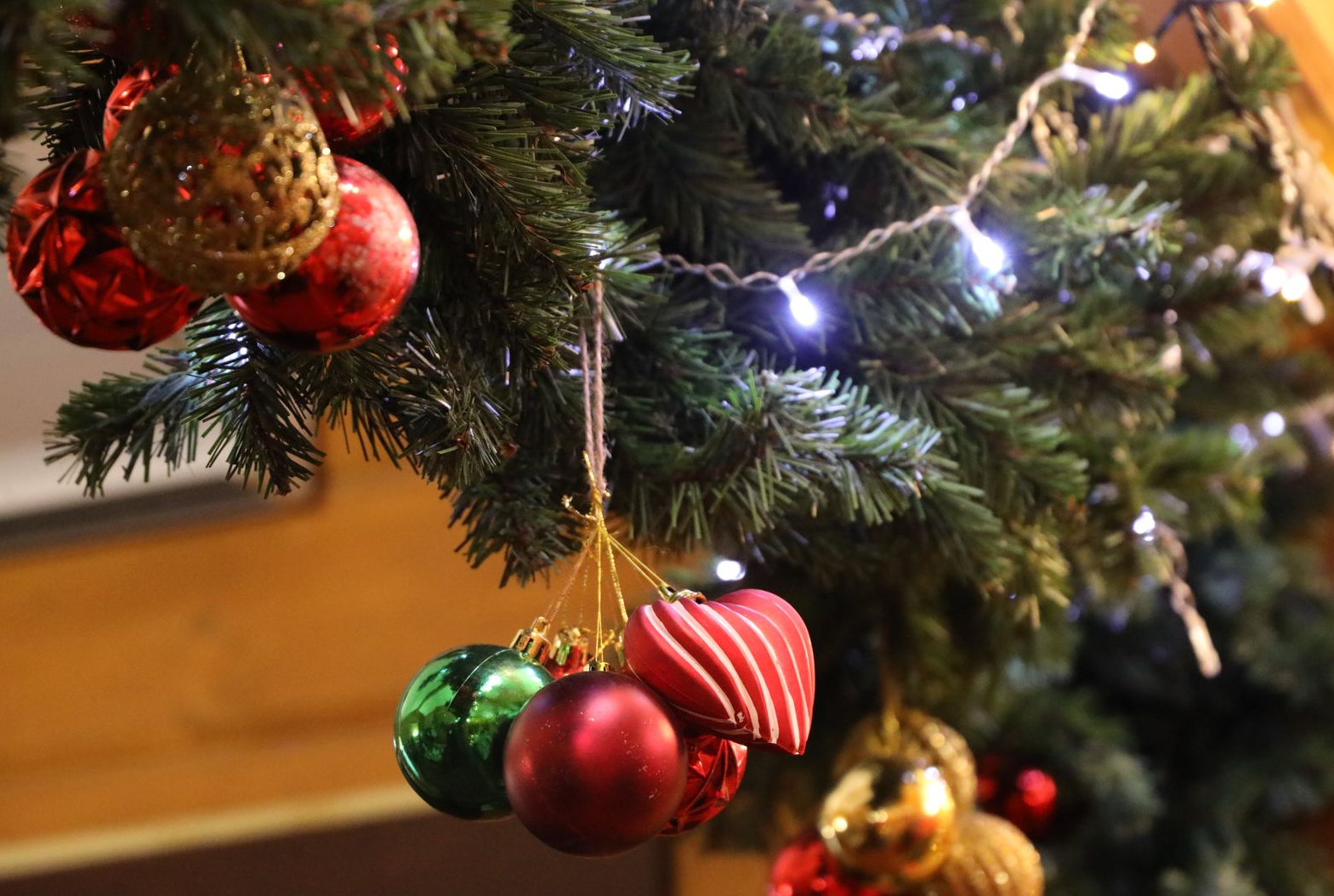 Красногорцы могут сдать новогодние елки на переработку до середины февраля
