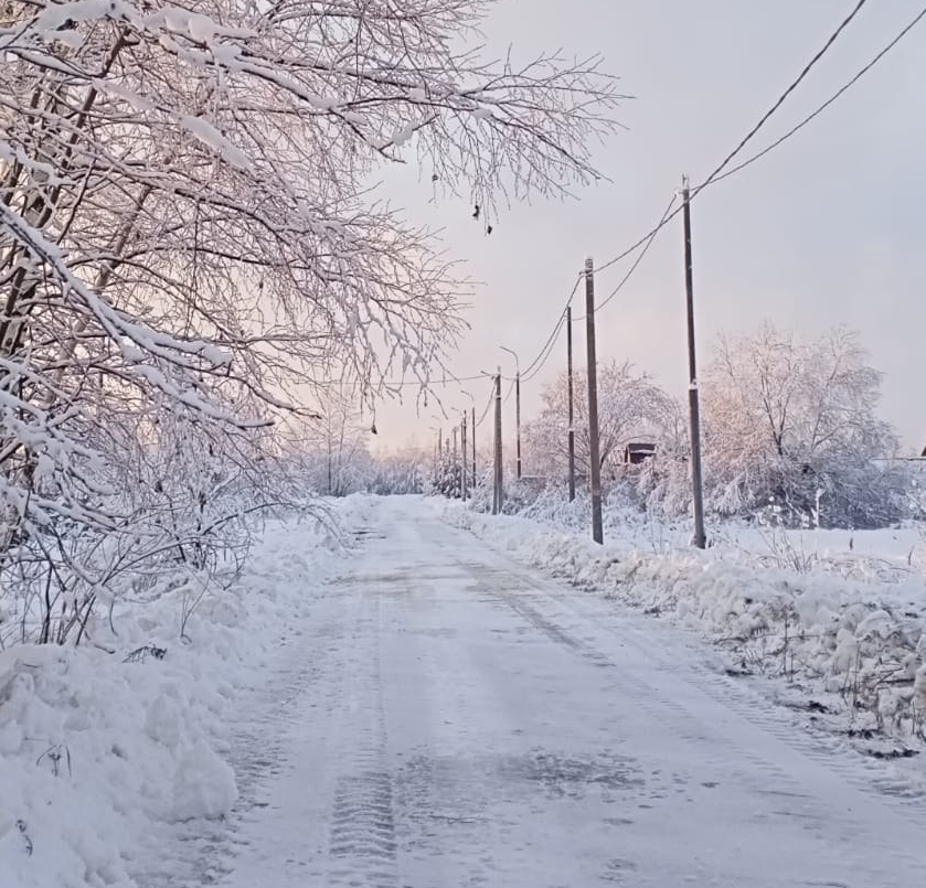 В Туголесском Боре реализован самый бюджетный участок под строительство дома