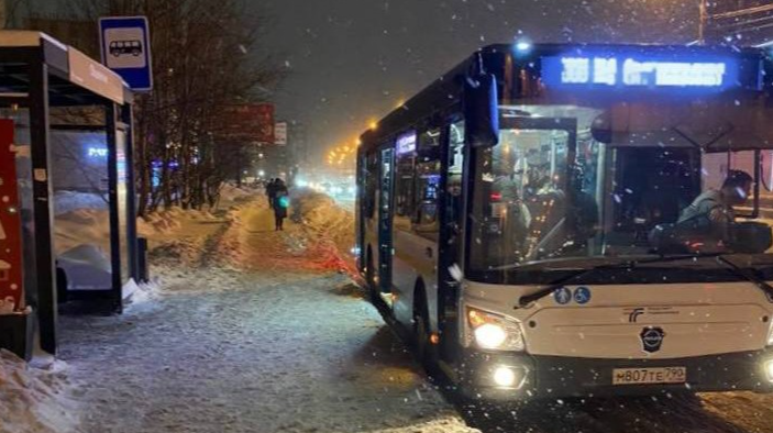 В ночь с 18 на 19 января в Московской области будет продлен график работы автобусов, следующих до храмов и мест купания