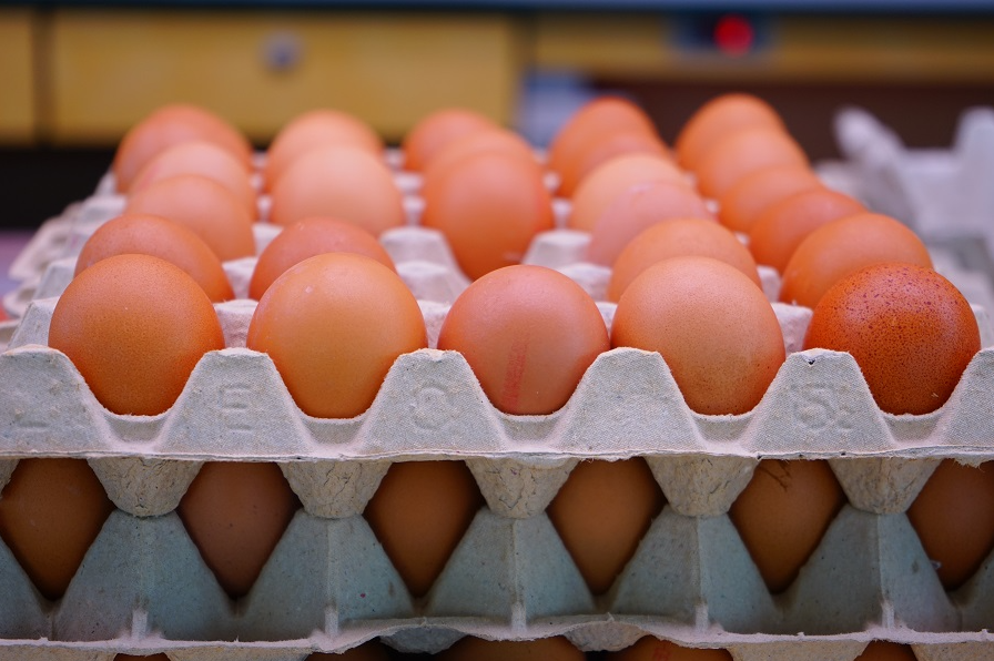 Меньше 100 рублей за десяток: цены на яйца в России начали падать