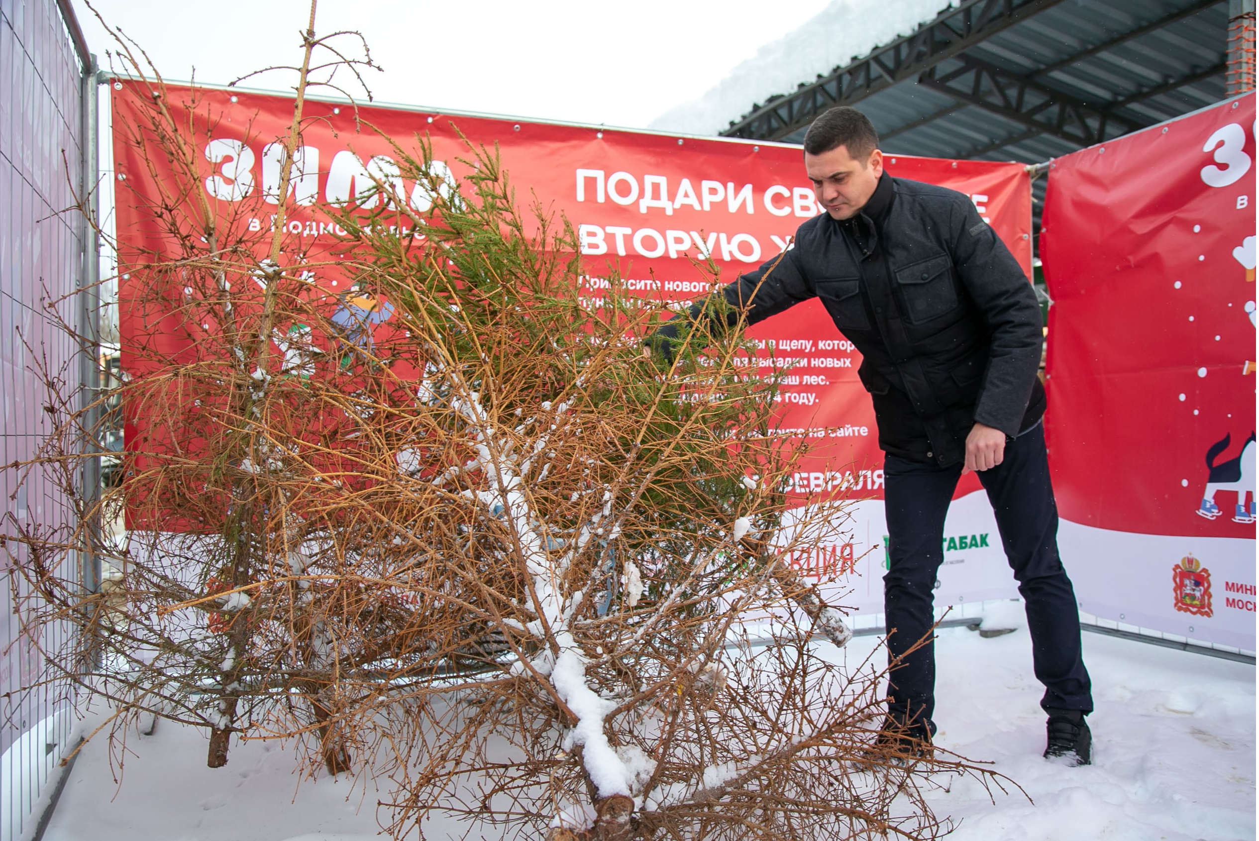 Пора выбросить елку: в Коломне открылись пункты приема новогодних деревьев