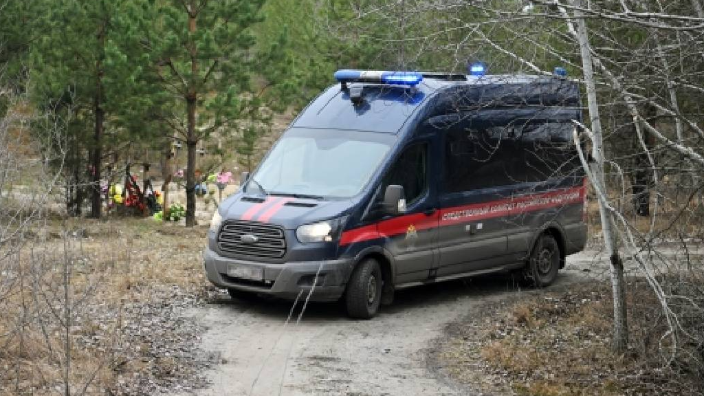 В Воронеже установили личность подозреваемого в убийстве девушки-подростка