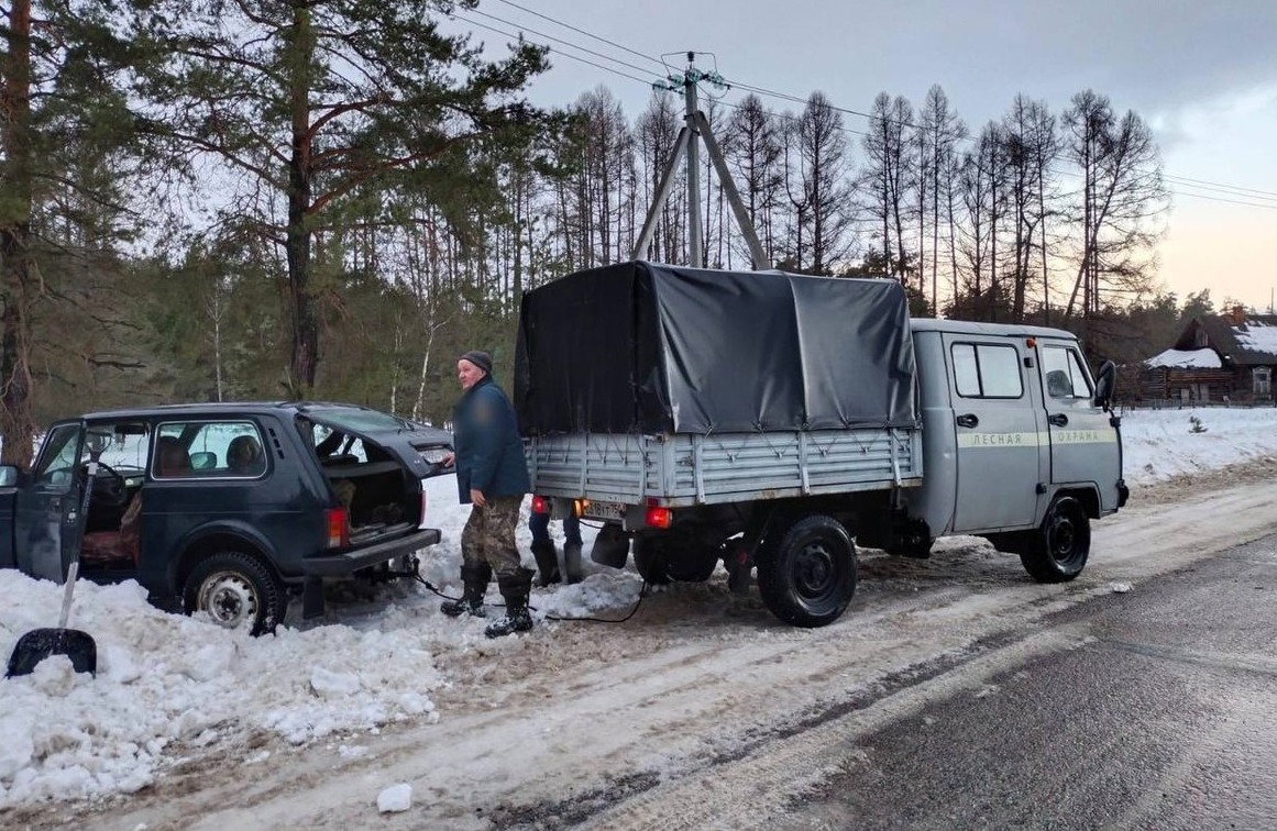 Сотрудники лесной охраны спасли водителя из снежного плена | REGIONS.RU /  Луховицы