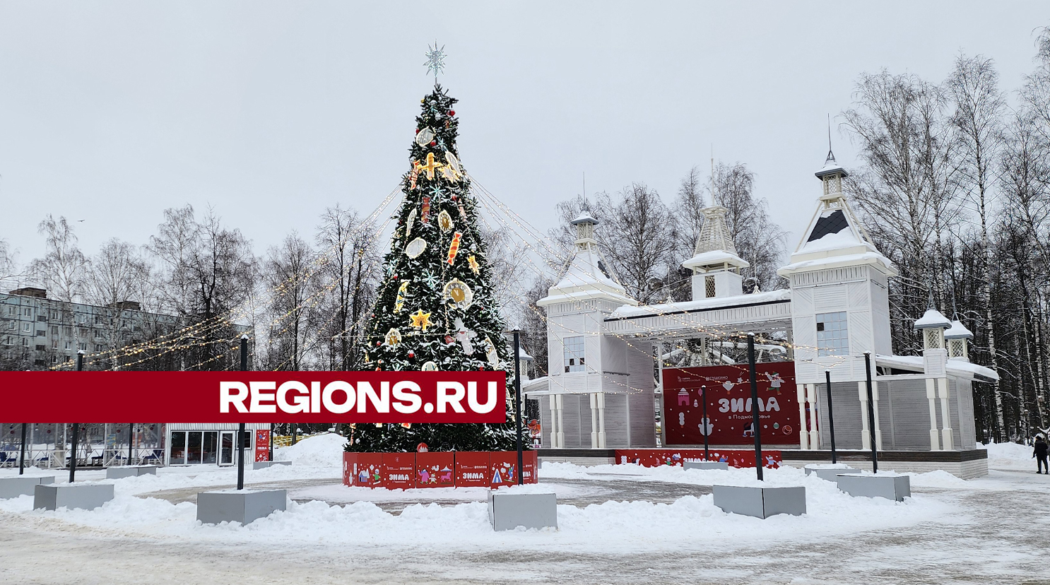 Городской парк в Пушкино привлекает гостей яркими мероприятиями и инфраструктурой