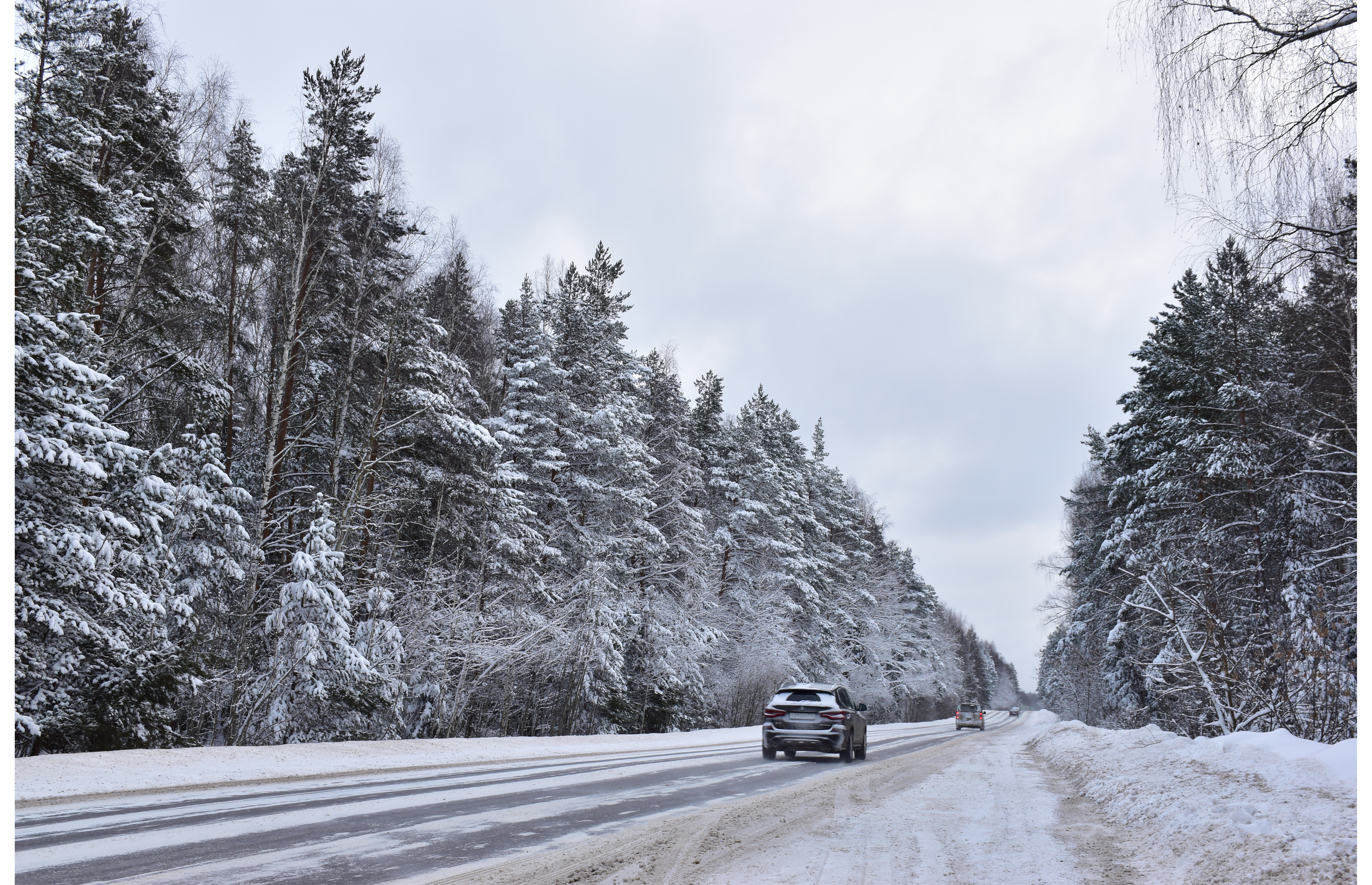 Снегопад, метель и гололедицу обещают в Дмитрове 23 января