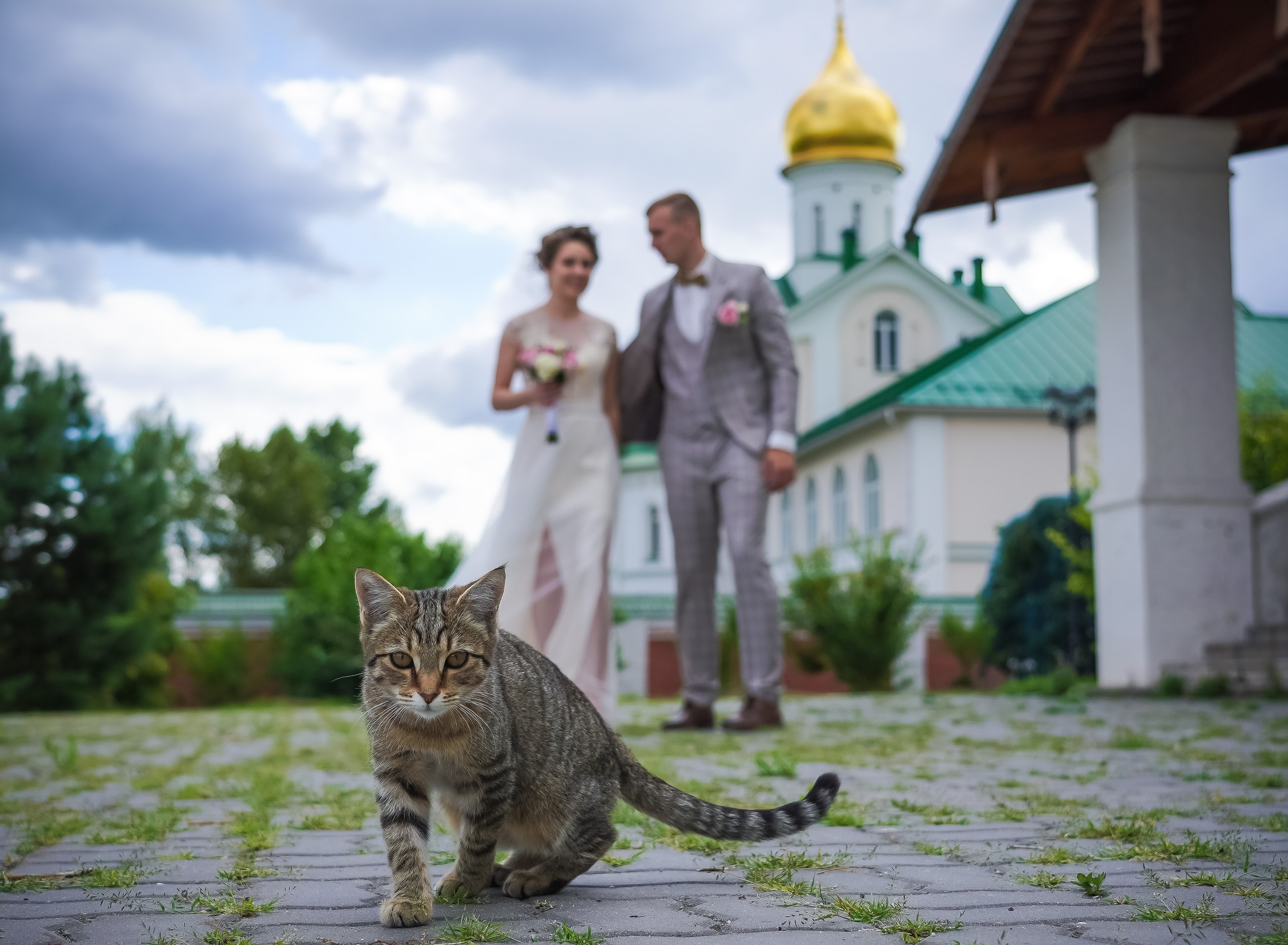 Более 2000 свадеб сыграли жители Одинцовского округа в прошлом году