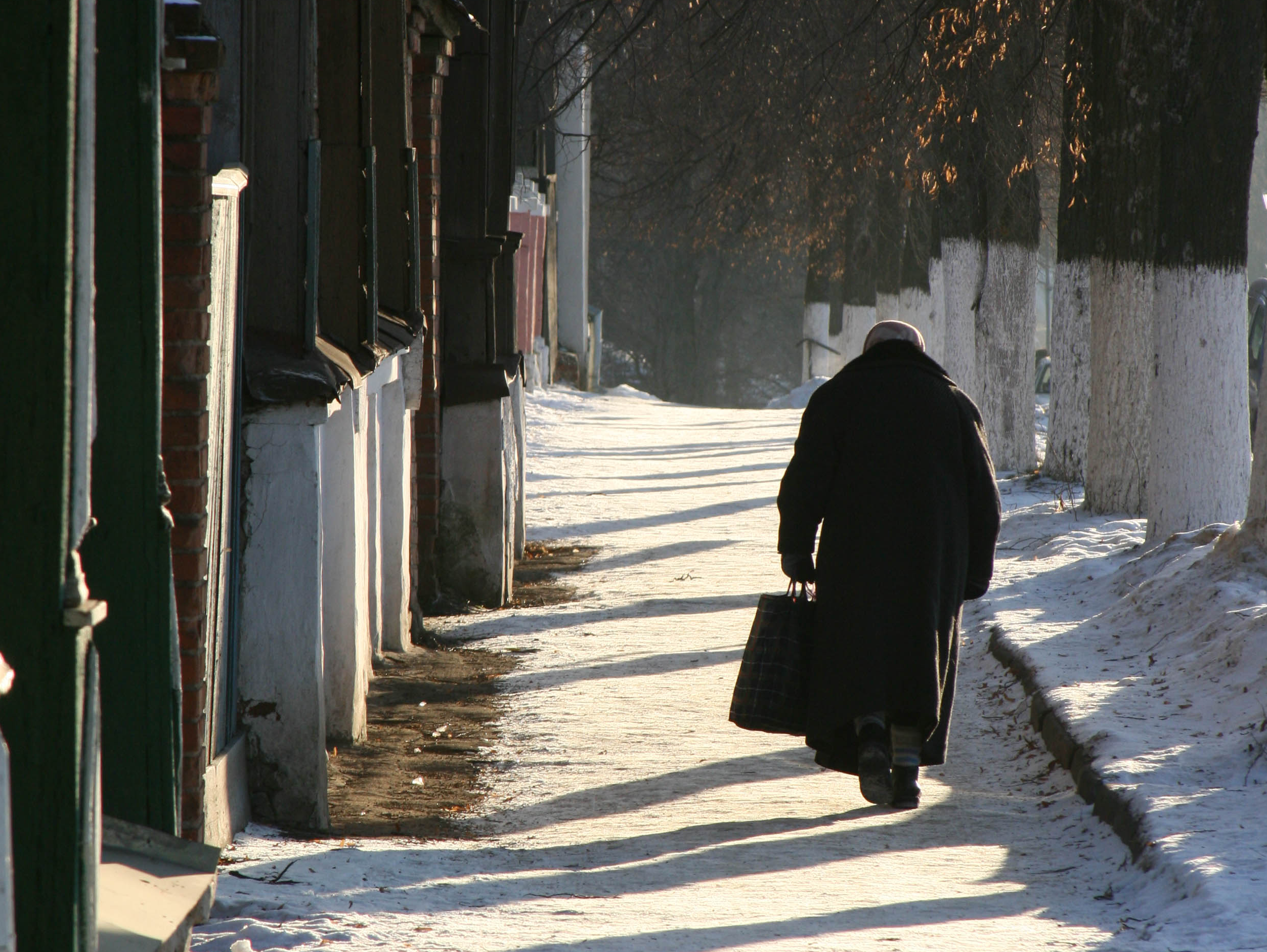 Минувшую ночь в Лосино-Петровском синоптики назвали самой холодной за 28 лет