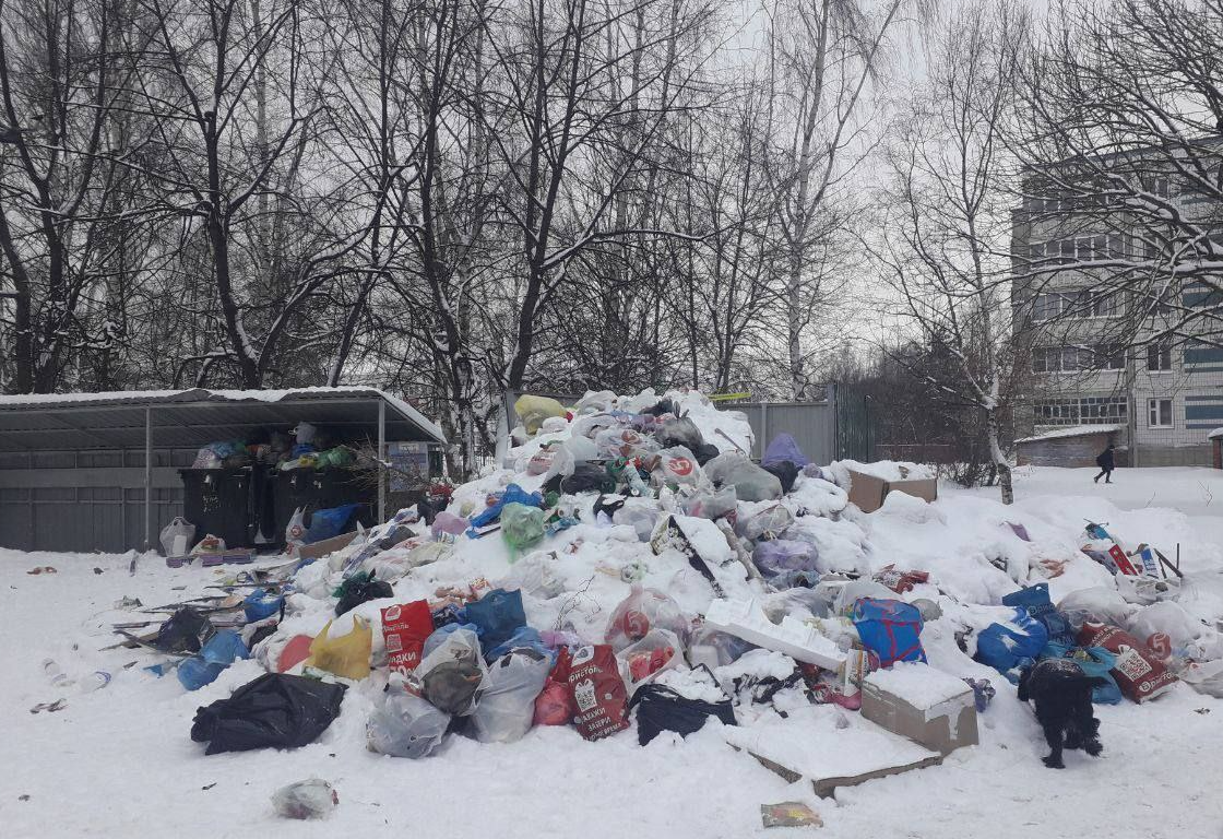 Вопрос с вывозом мусора в Талдомском округе  решен