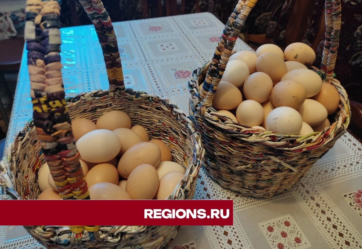 Жительница Краснознаменска решила сделать бизнес на свежих яйцах от собственных кур