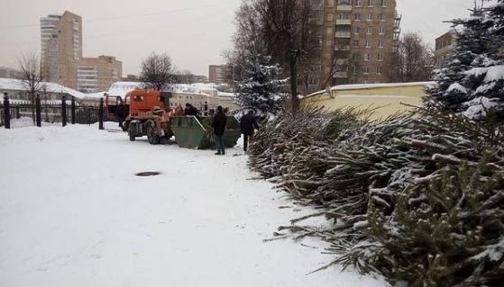 «Подари вторую жизнь своей елке!»: в Подмосковье новогодние деревья принимают на специально обустроенных площадках